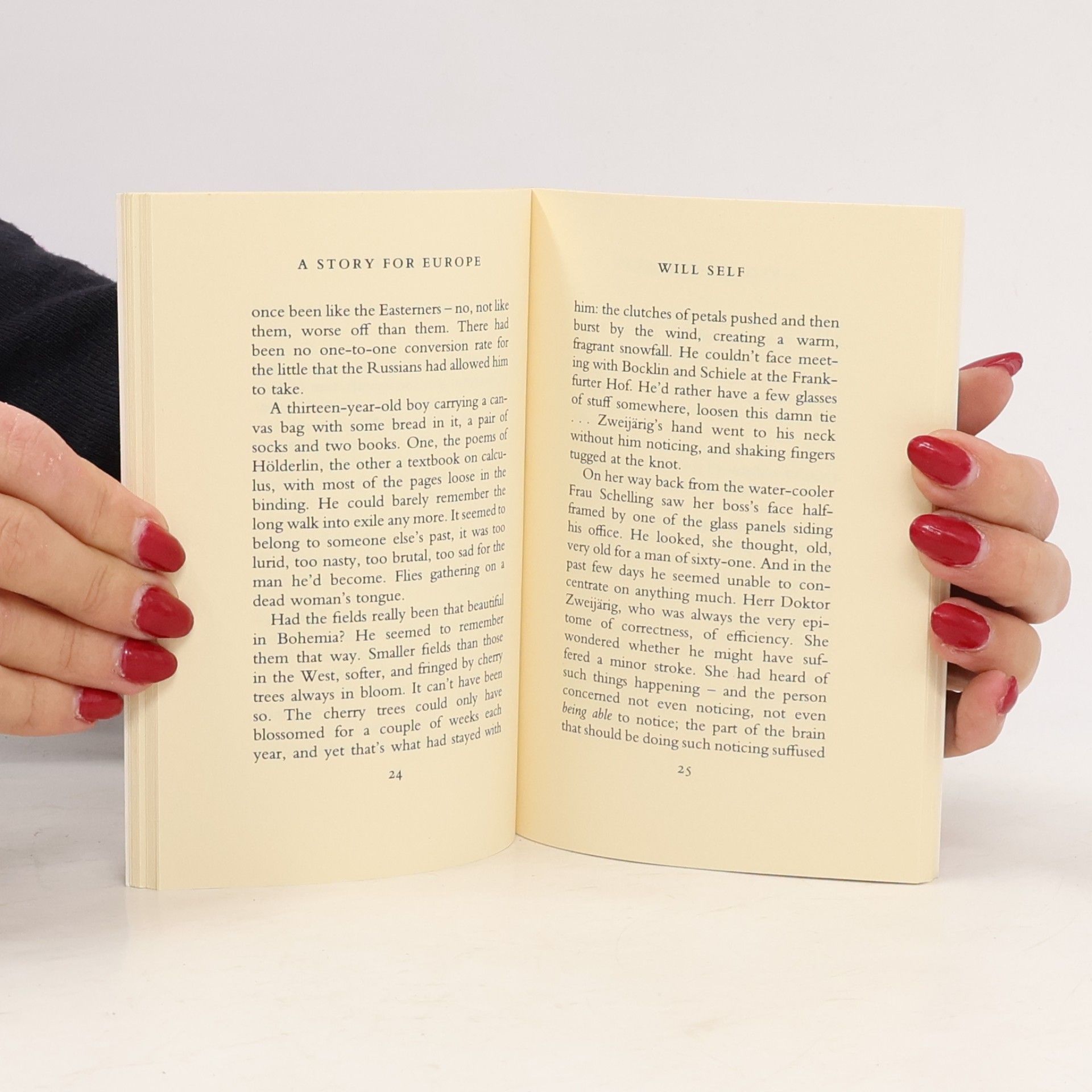 Will Self A Story For Europe
