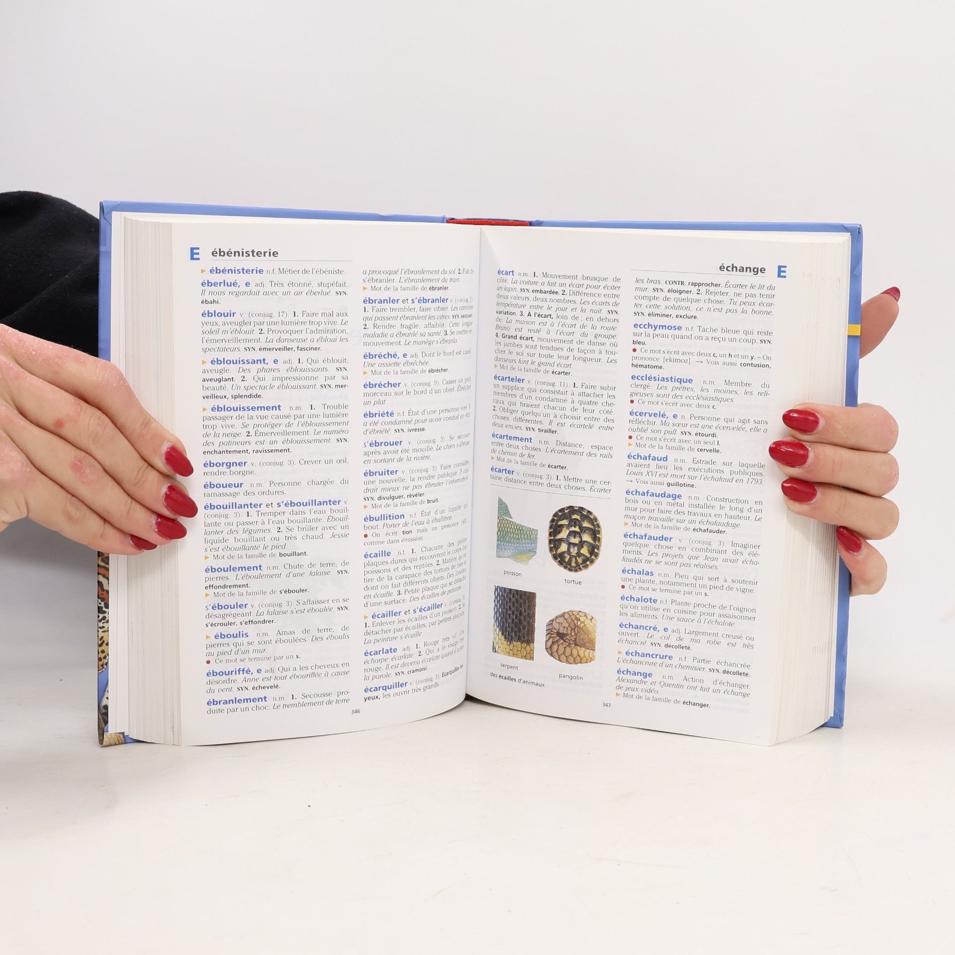 Autorenkollektiv Larousse Junior (7/11 ans - CE/CM)