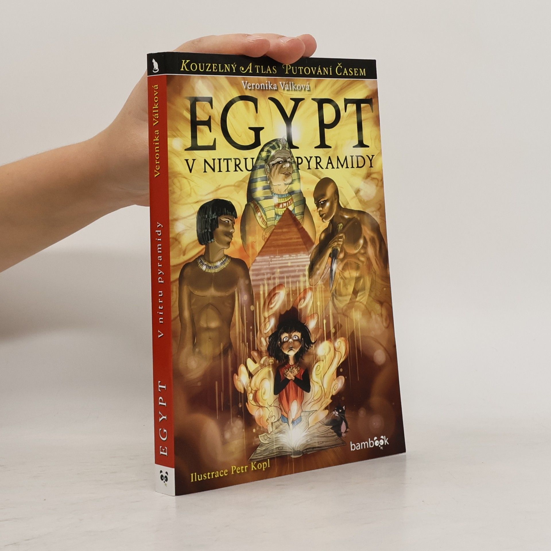 Egypt: V nitru pyramidy