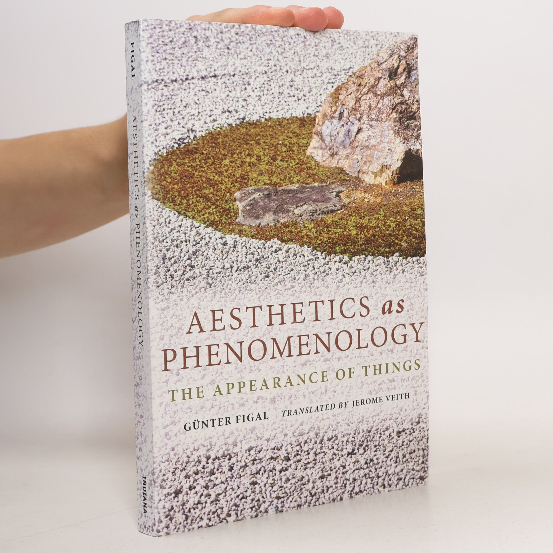 Jerome Veith Aesthetics as Phenomenology