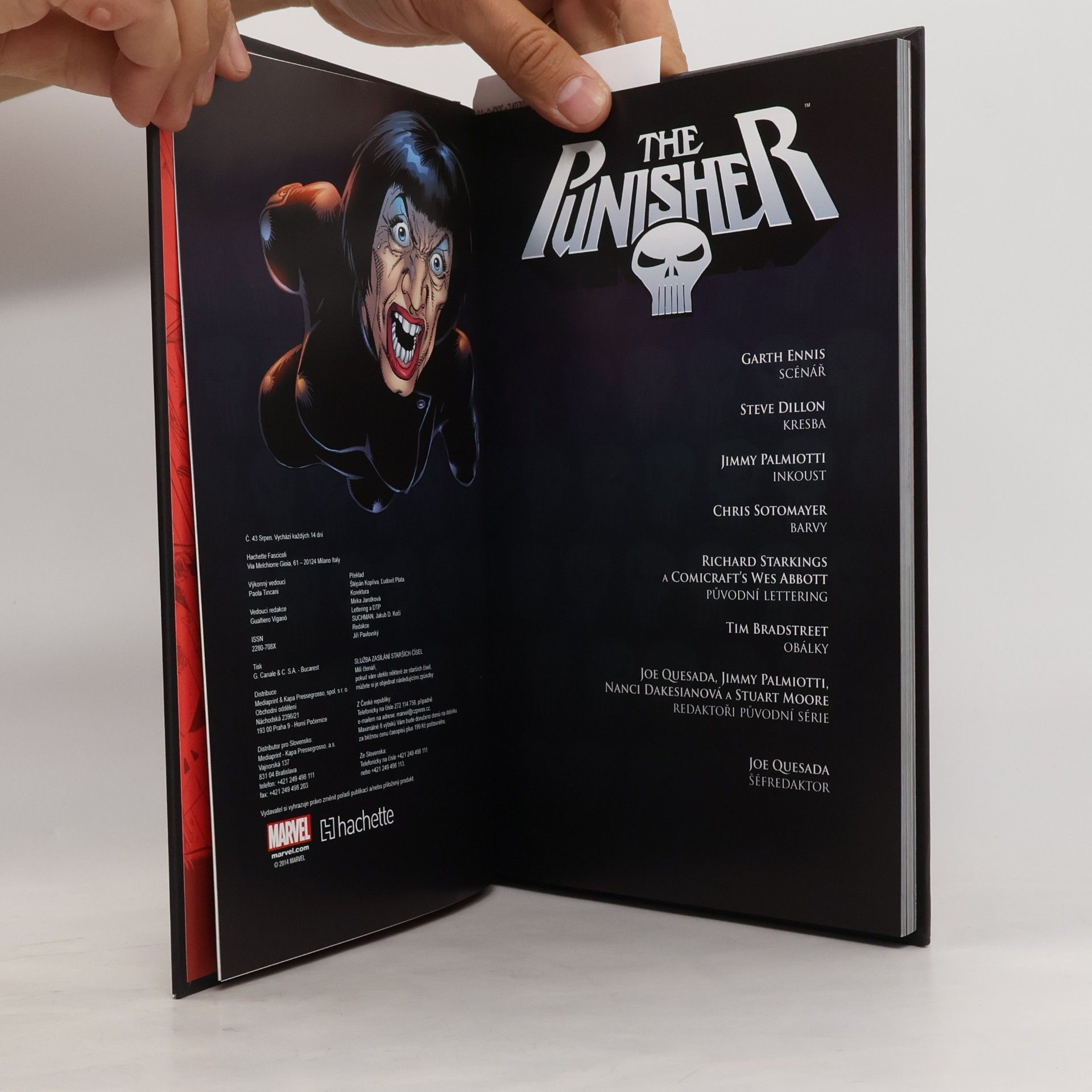 Garth Ennis Ultimátní komiksový komplet 17. The Punisher