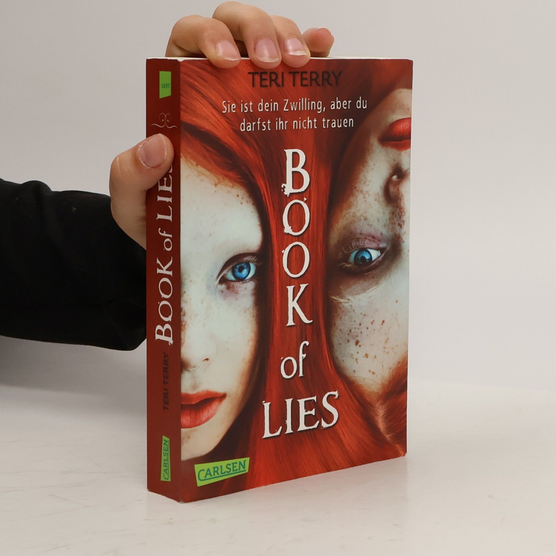 Teri Terry Book of lies