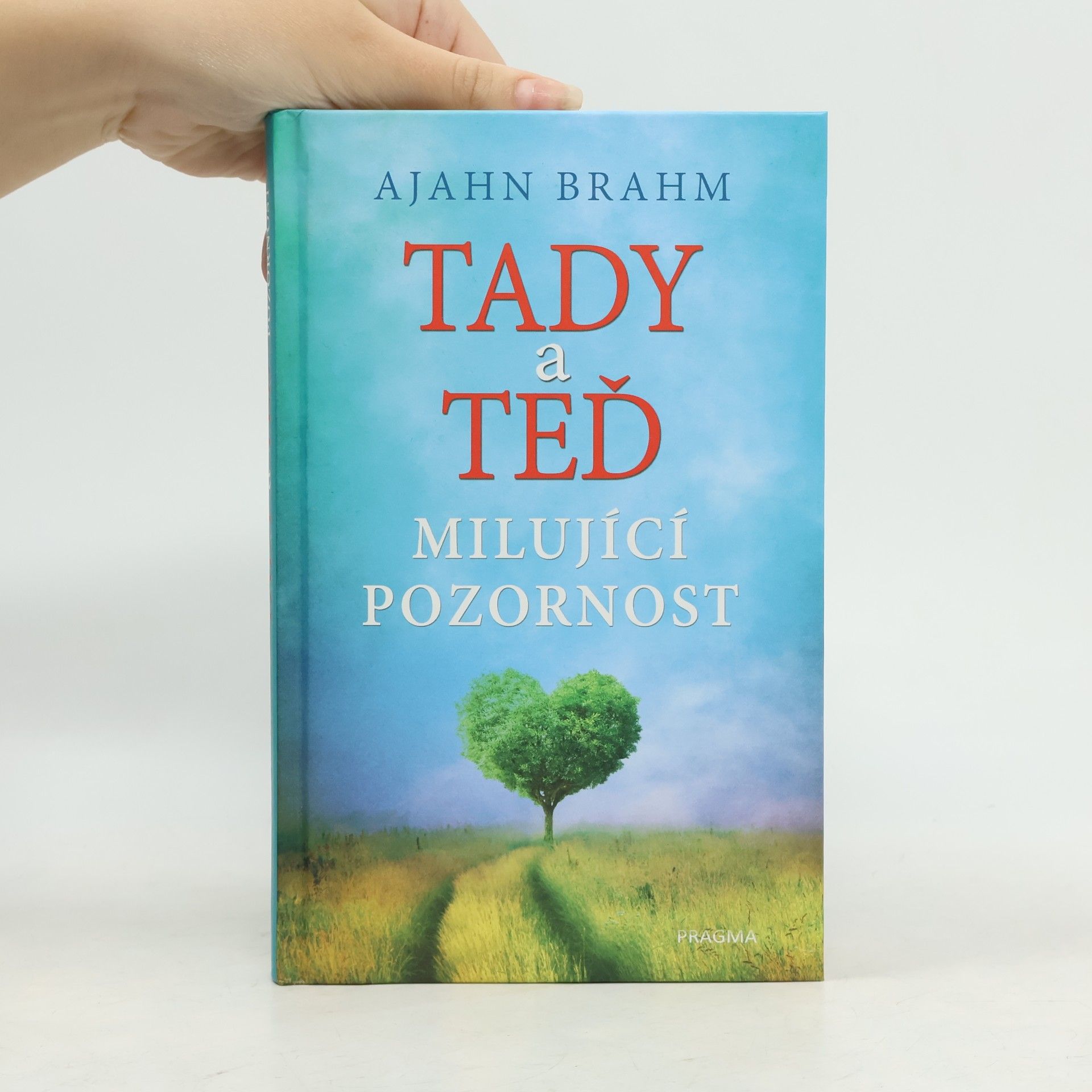 Adzan Brahmavamso Tady a teď. Milující pozornost