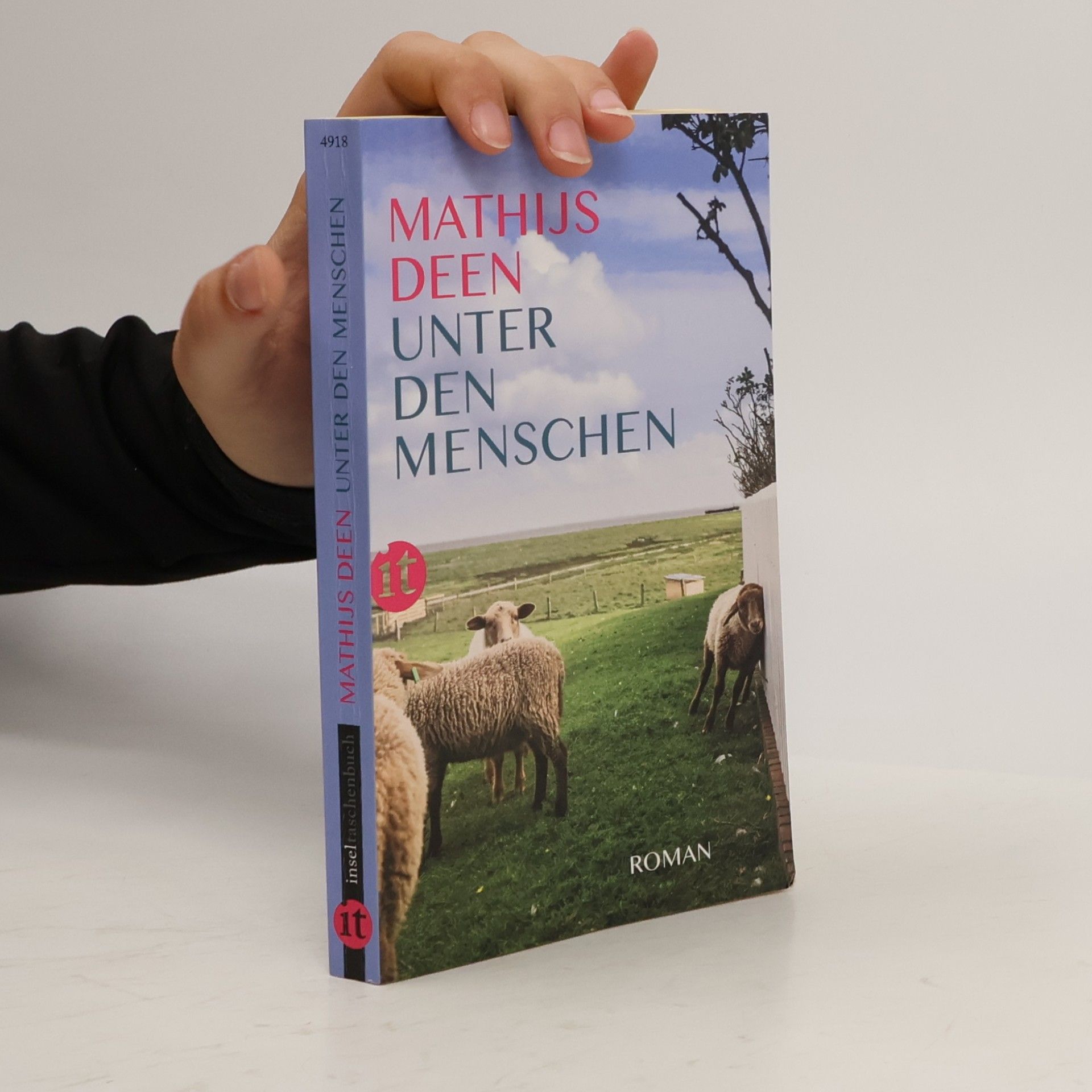 Mathijs Deen Unter den Menschen