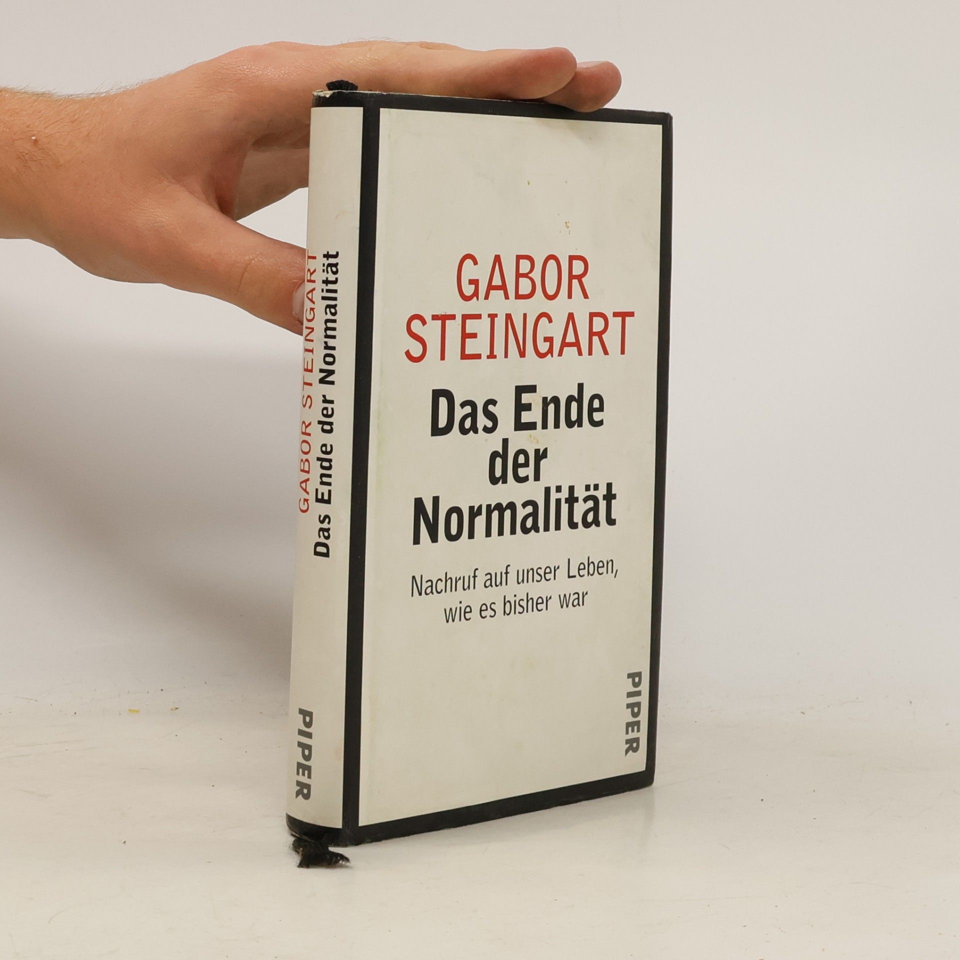 Gabor Steingart Das Ende der Normalität
