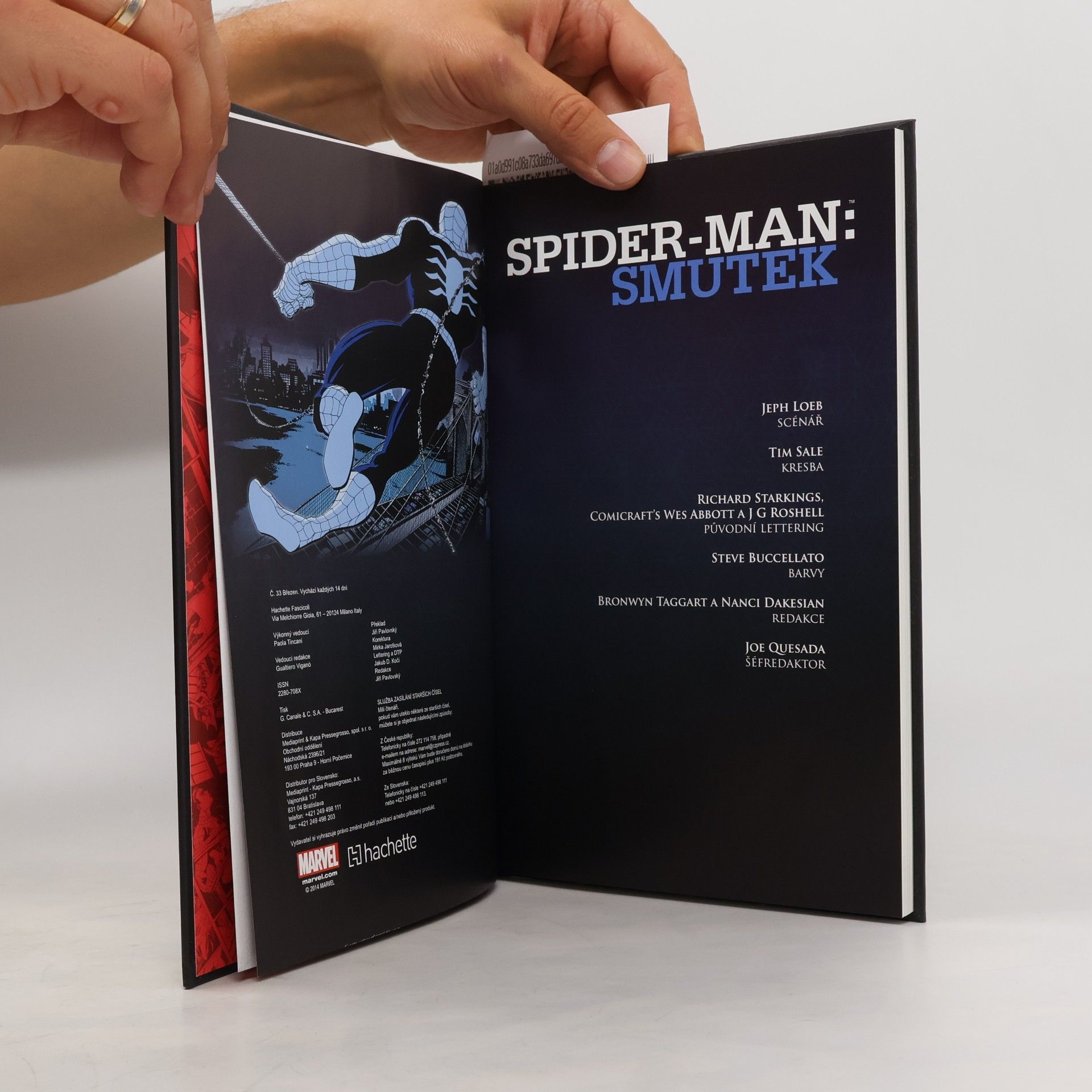 Jeph Loeb Spider-Man. Smutek