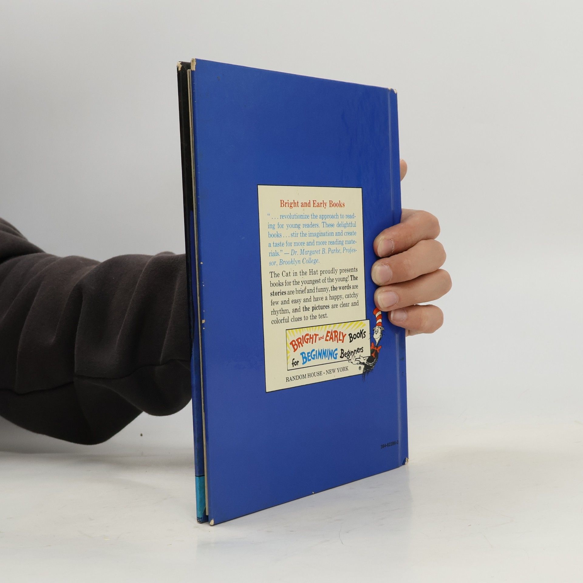 Stan Berenstain Bright and Early Books - BE 10: Bears in the Night