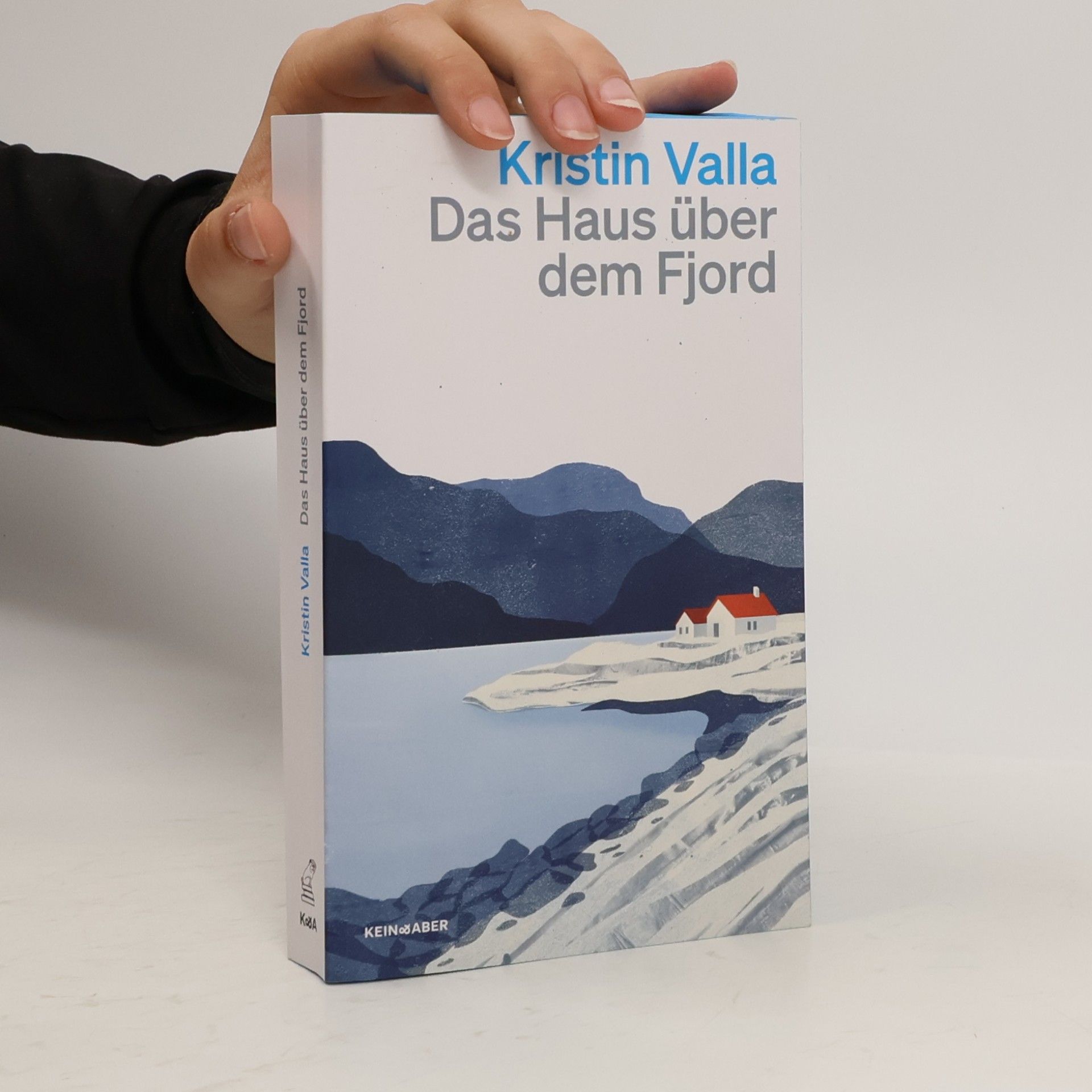 Das Haus über dem Fjord