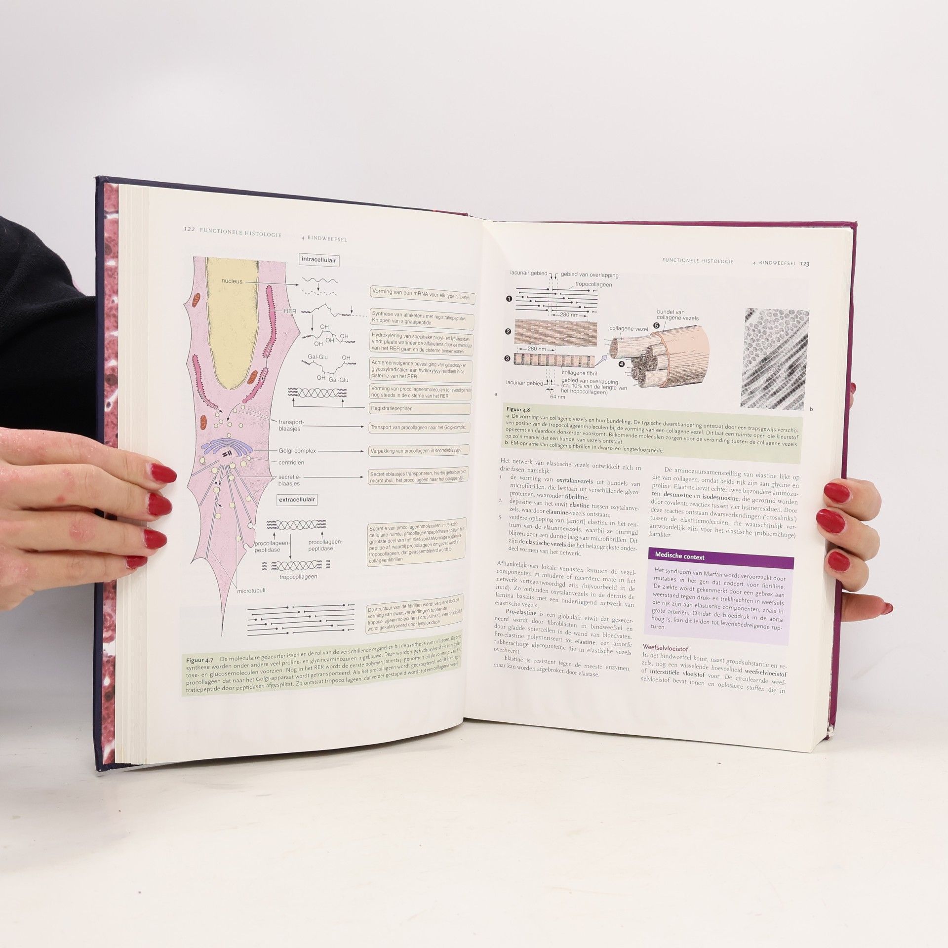 L. Carlos Jungueira Functionele histologie