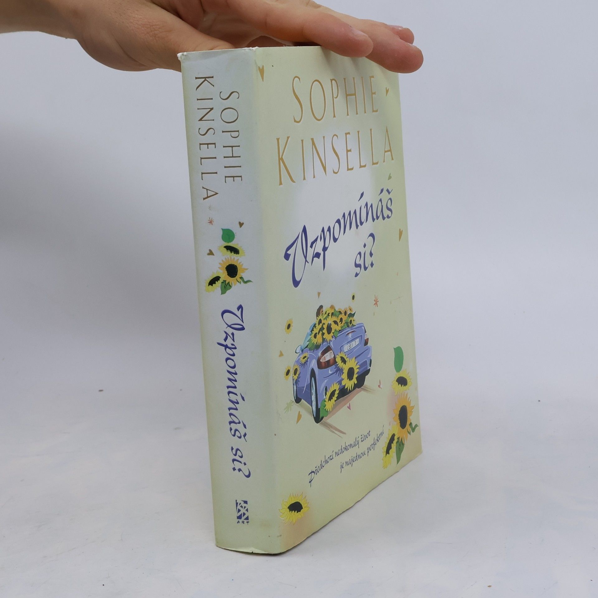Sophie Kinsella Vzpomínáš si?