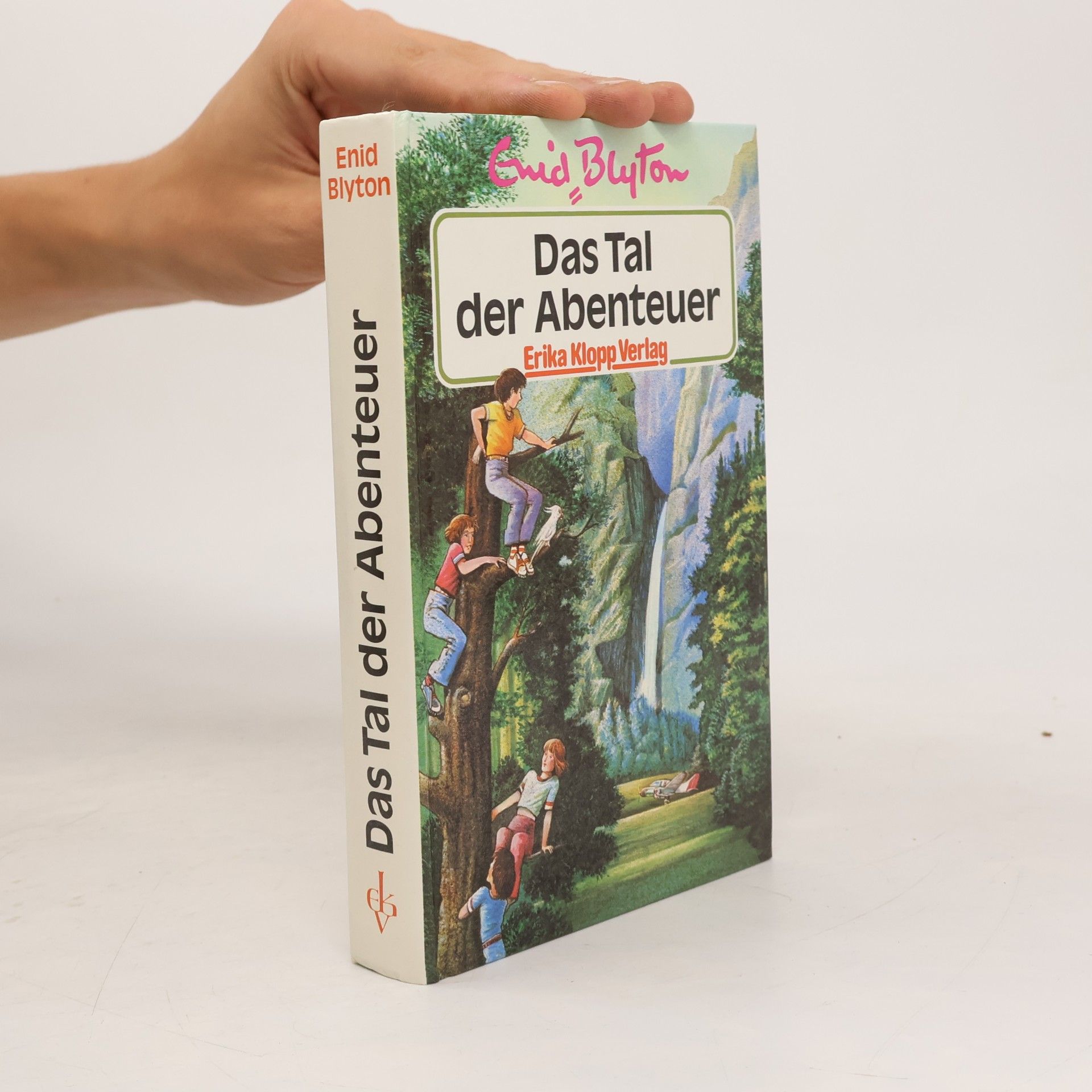 Enid Blyton Das Tal der Abenteuer