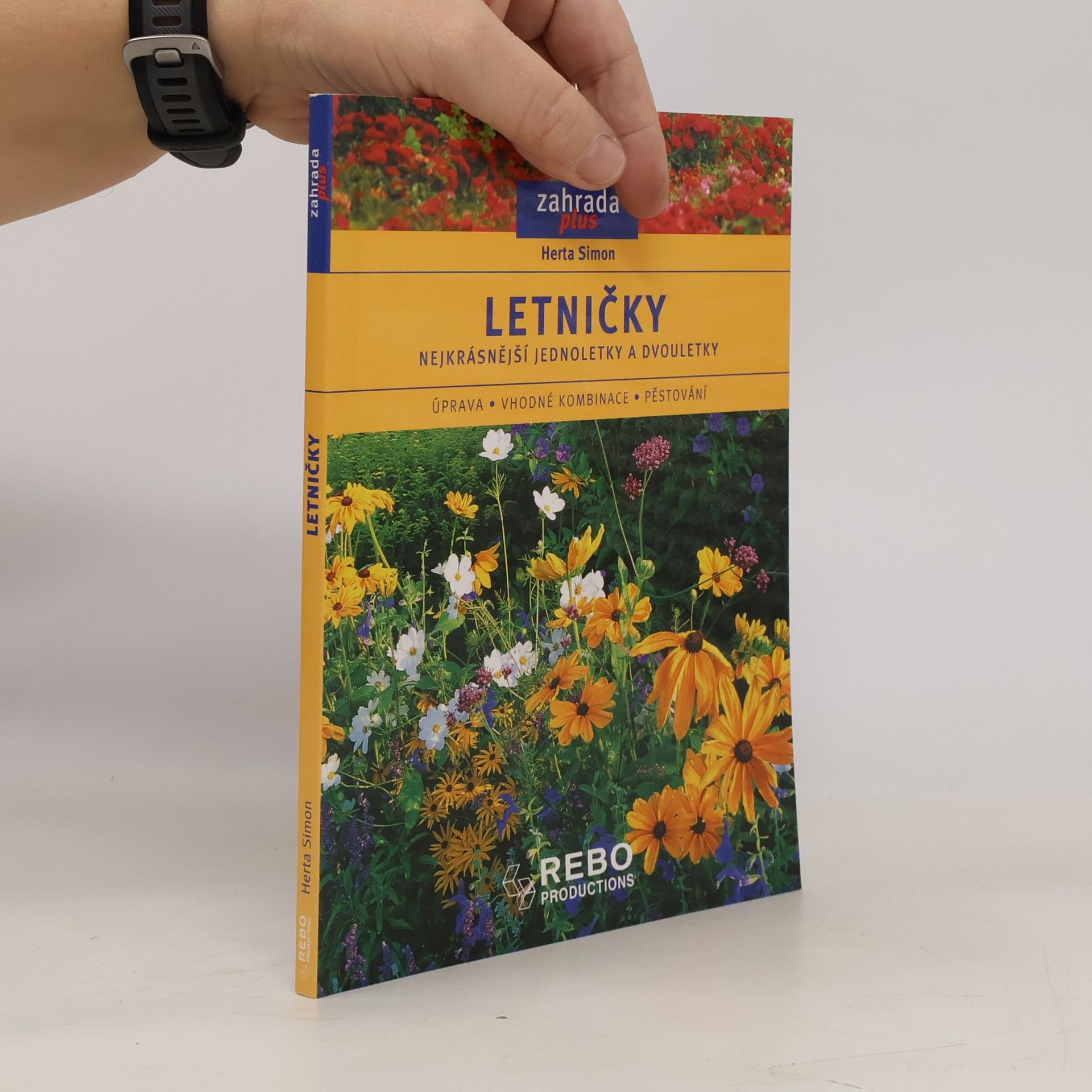 Letničky
