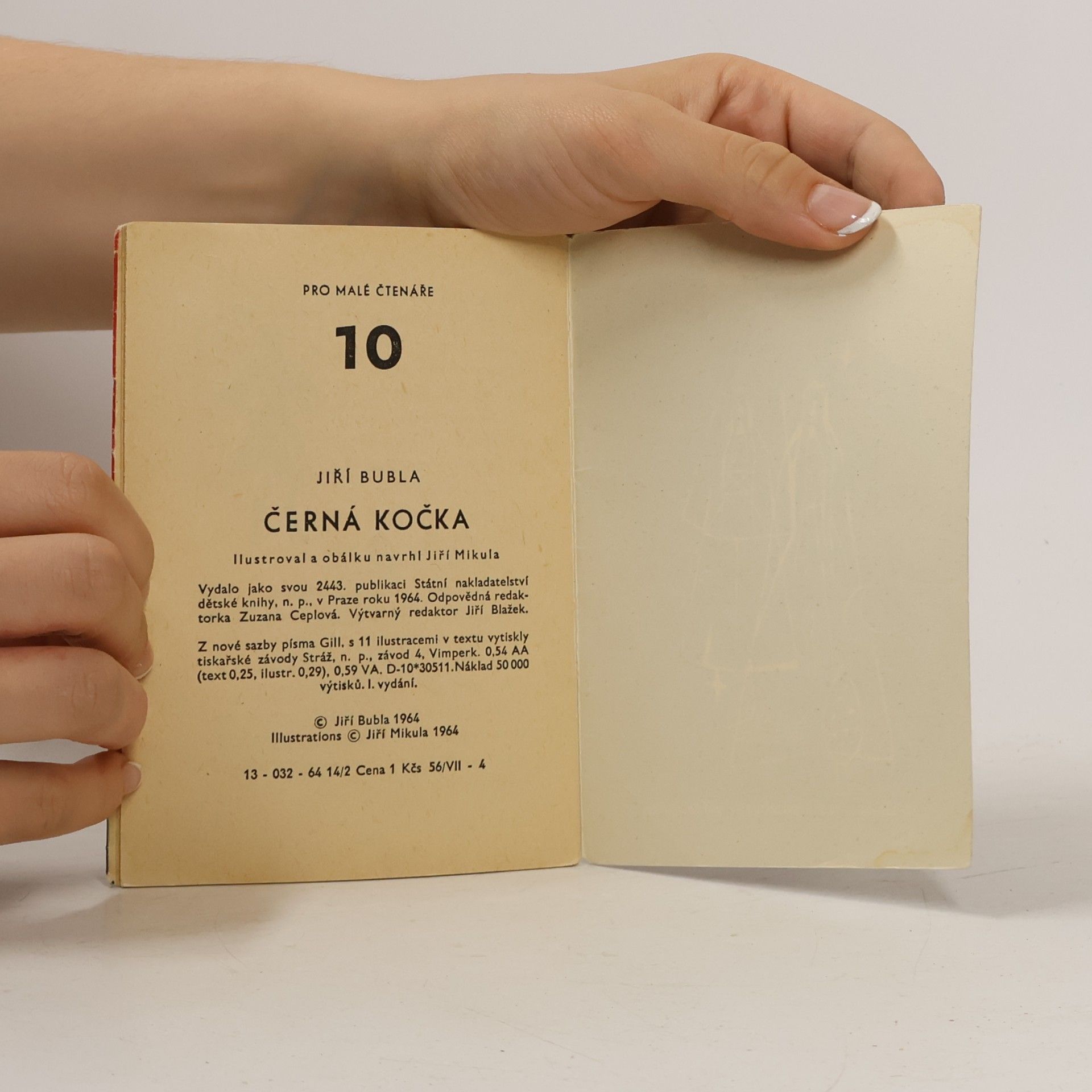 Jiří Bubla Černá kočka