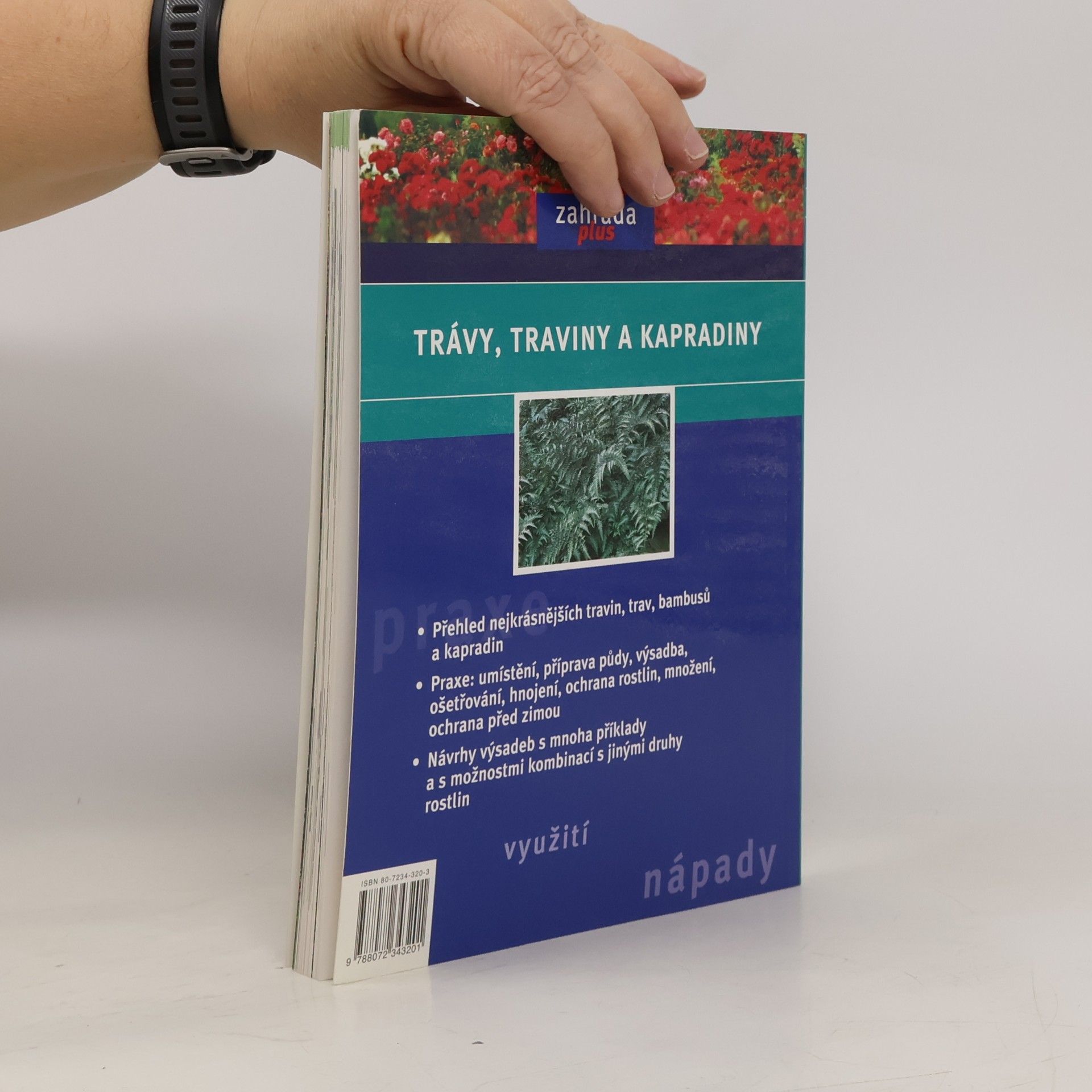 Ulrike Leyhe Trávy, traviny a kapradiny