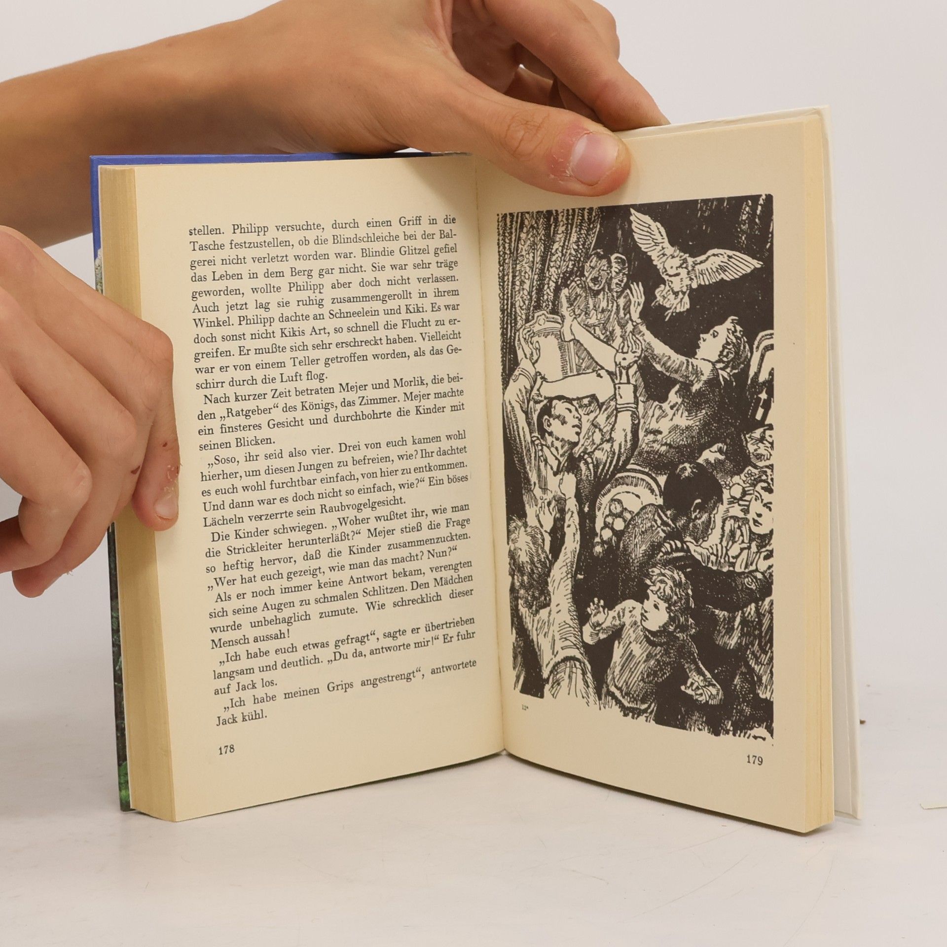 Enid Blyton Der Berg der Abenteuer