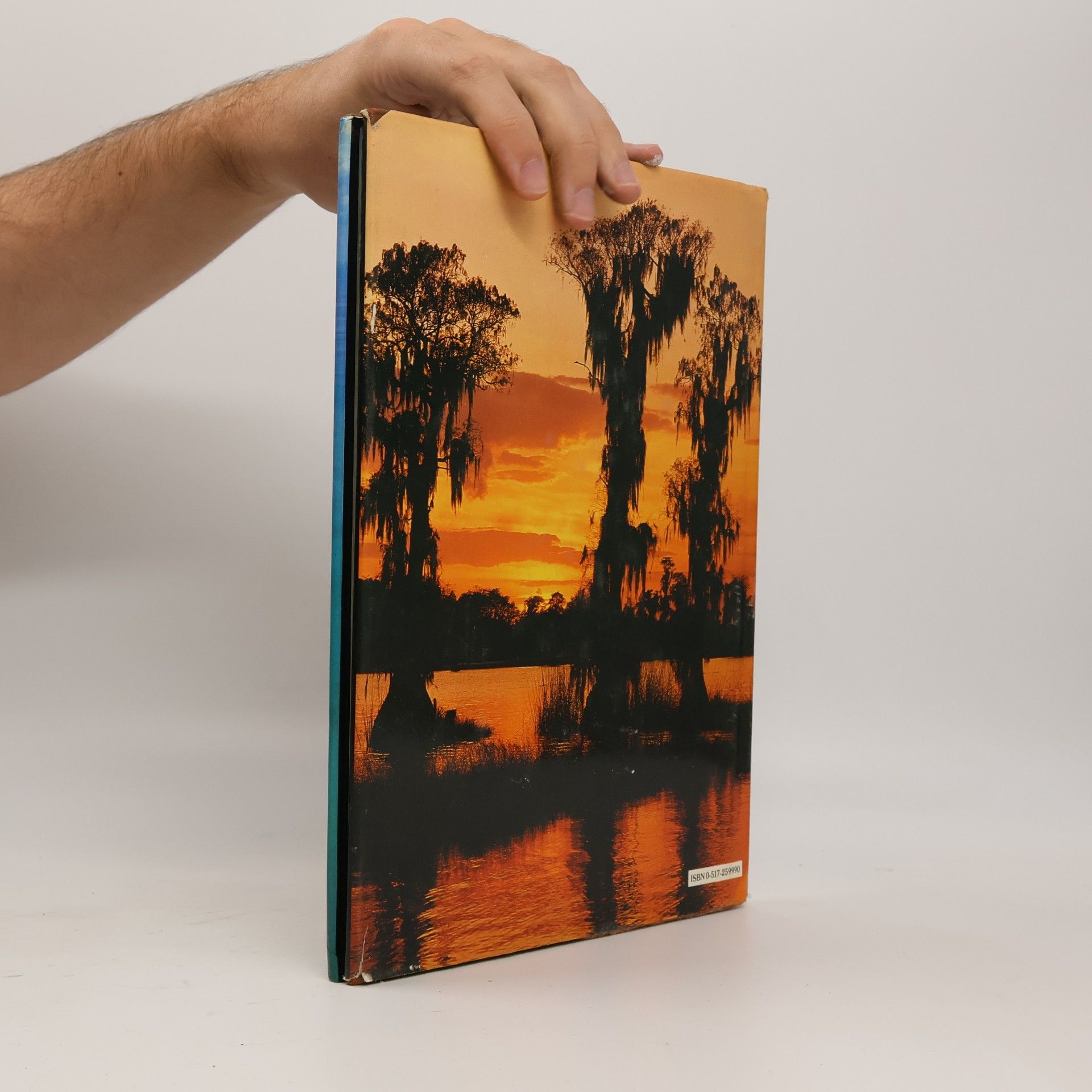 David Gibbon Florida