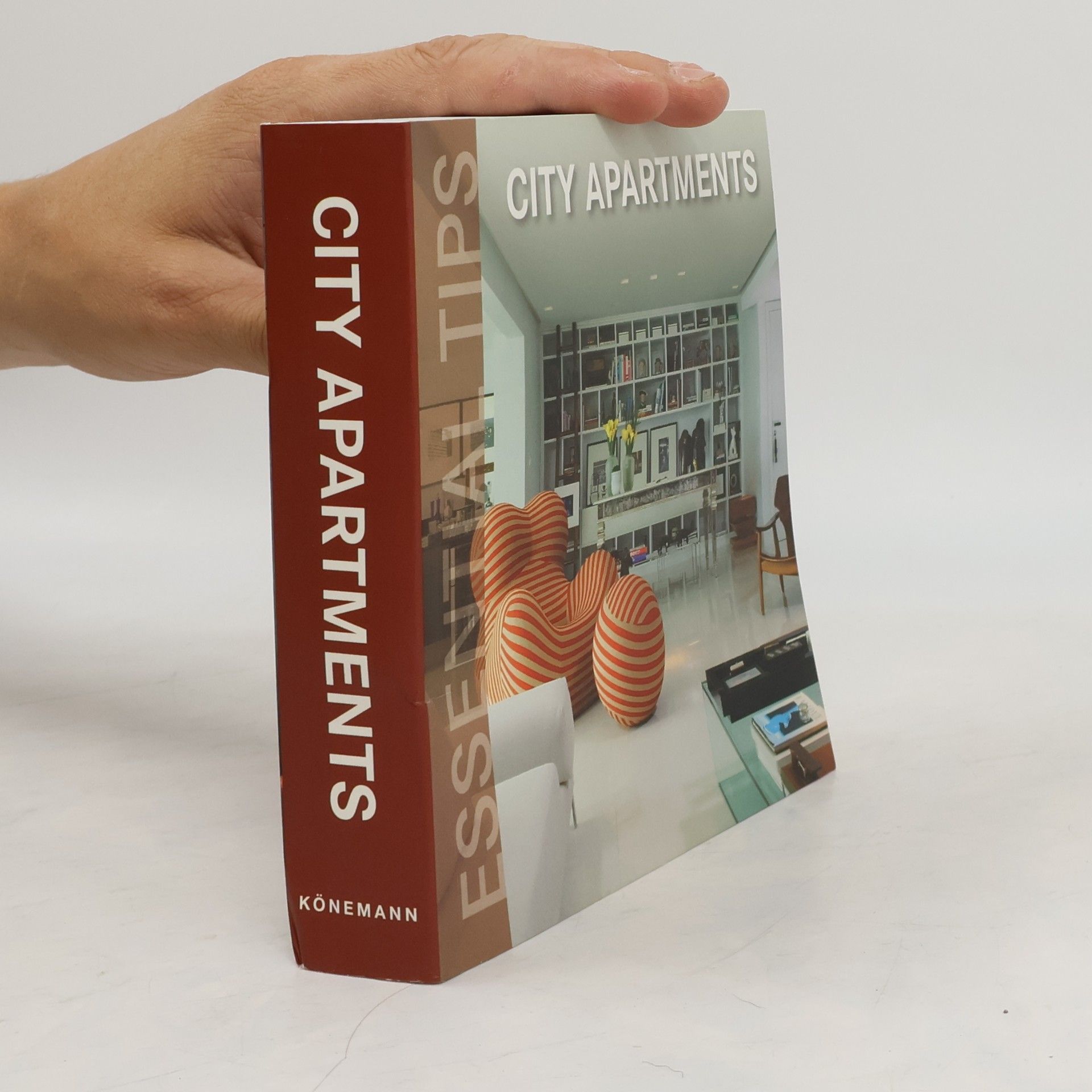 Kolektiv autorů City Apartments. Essential Tips.