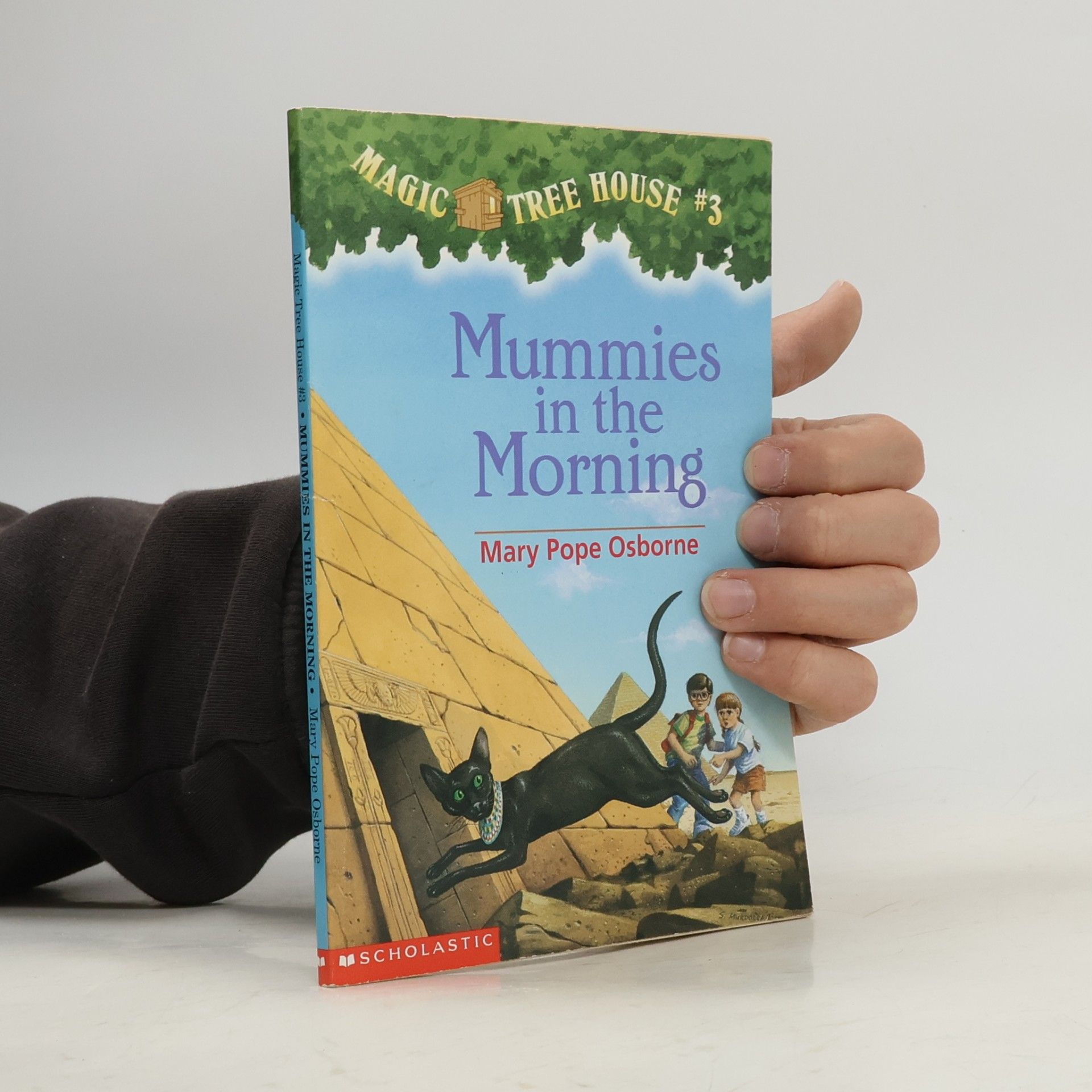 Mary Pope Osborne Mummies in the Morning