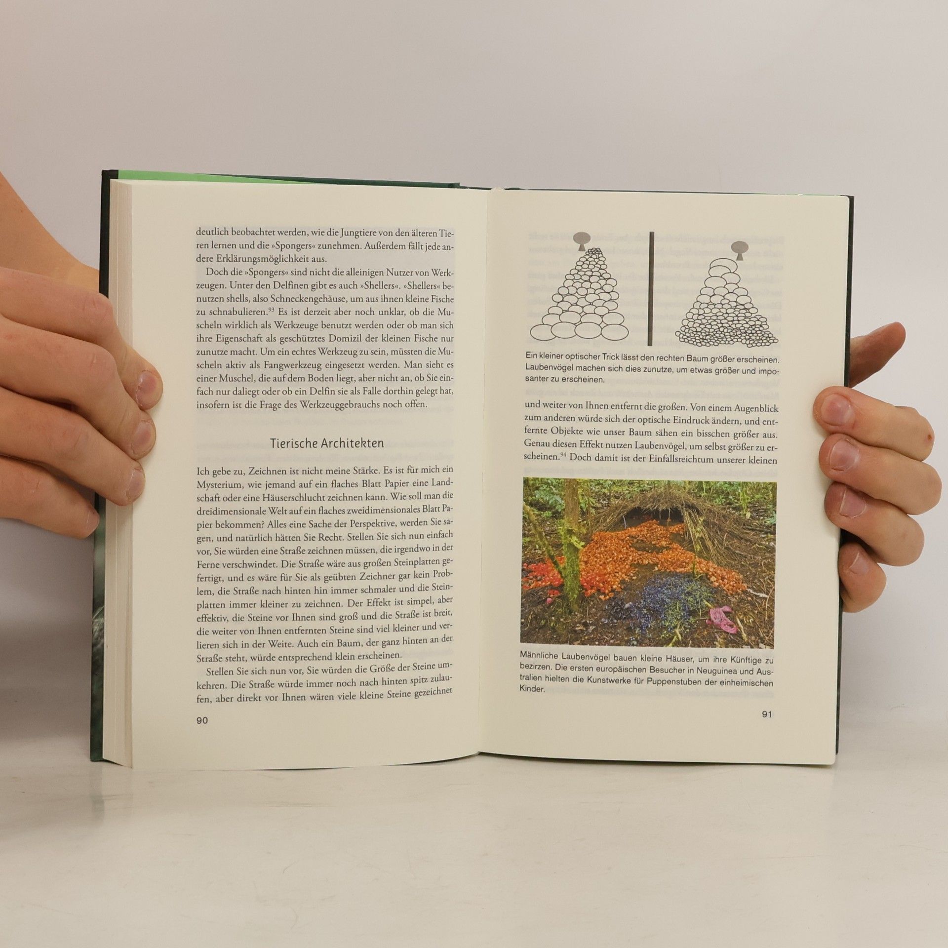 Karsten Brensing Das Mysterium der Tiere