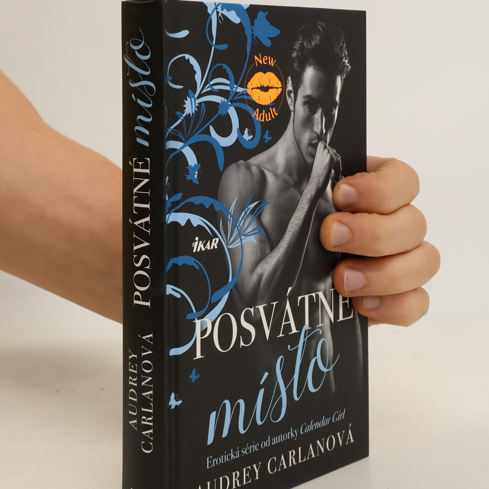 Audrey Carlan Posvátné místo