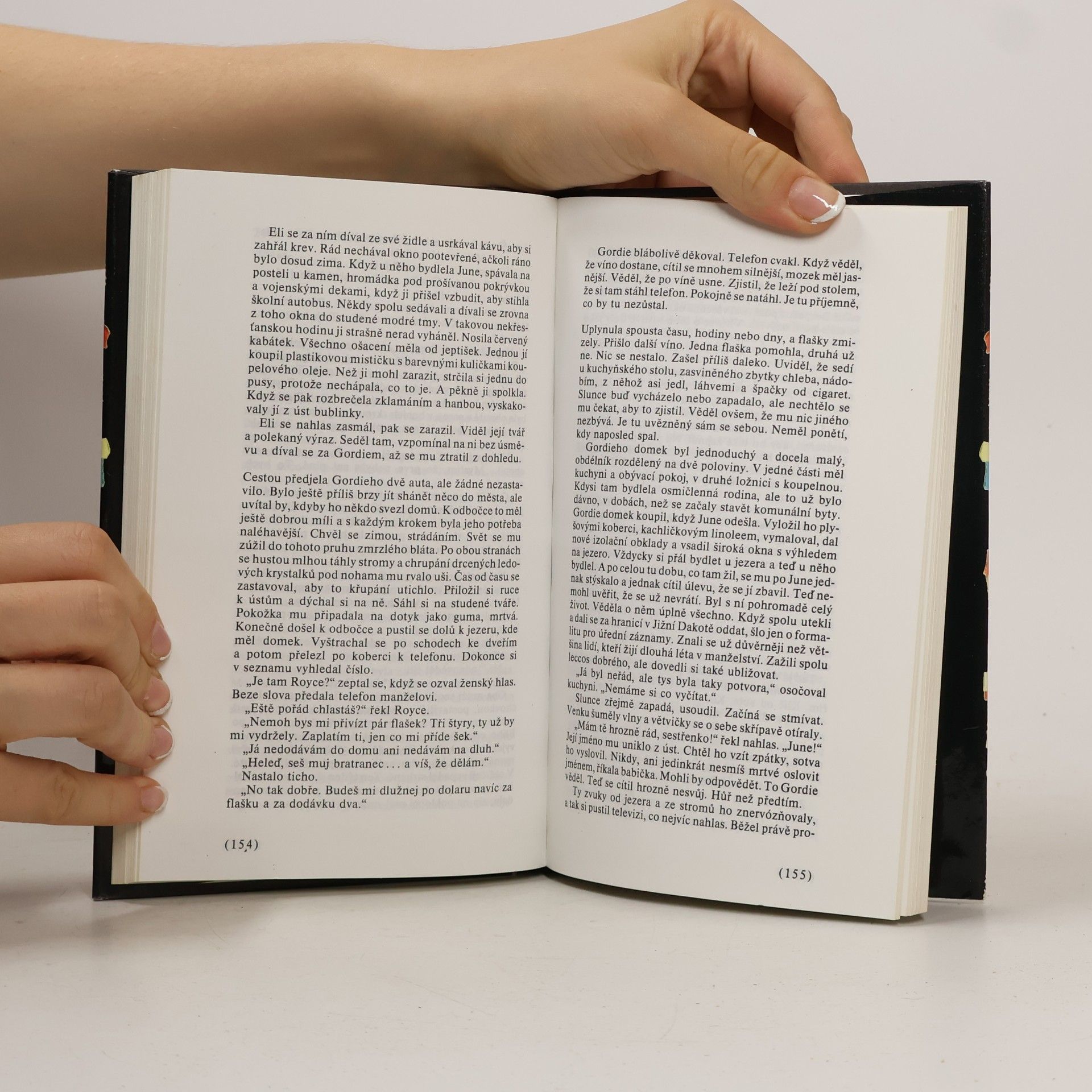 Louise Erdrich Čarování s láskou