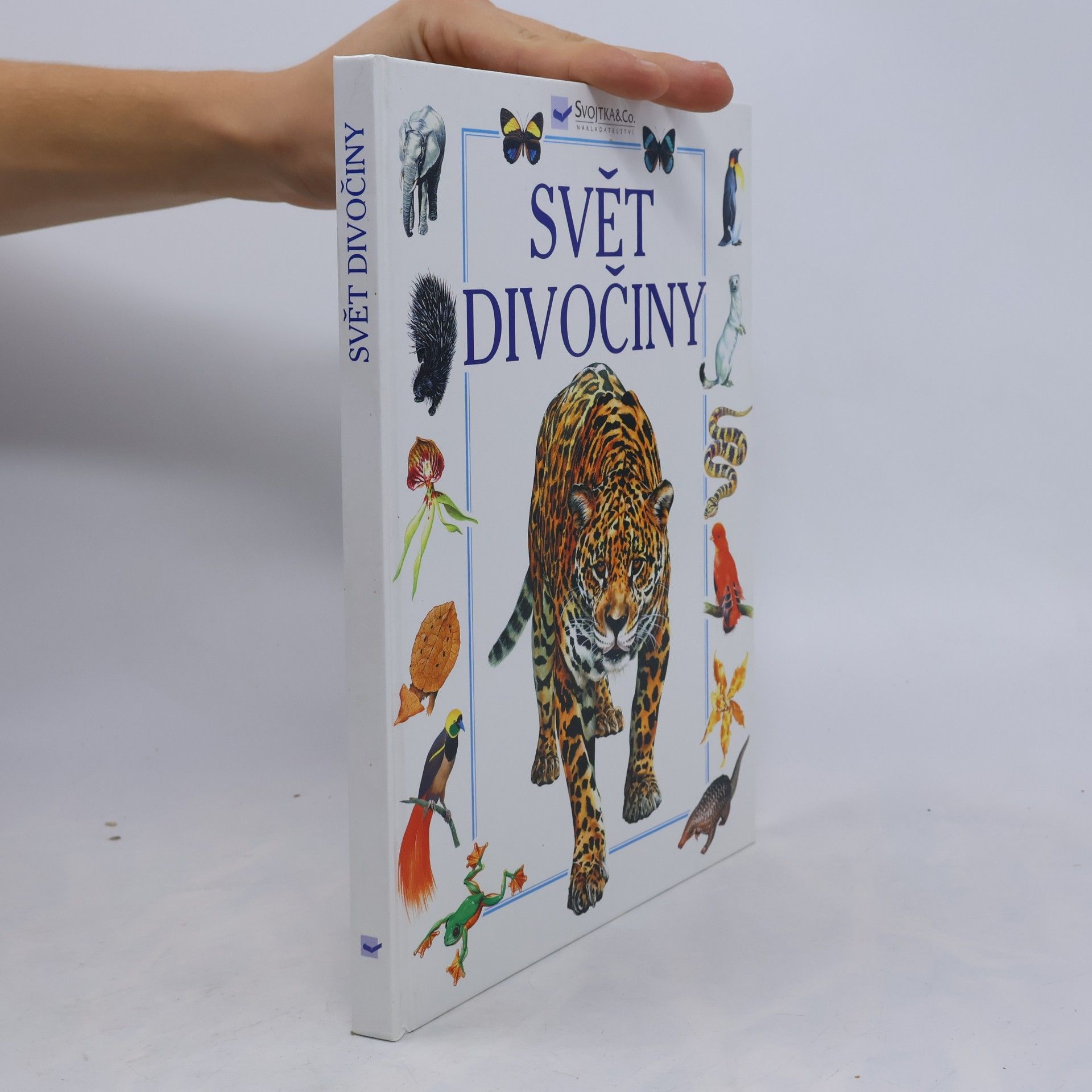 Andrew Dixon Svět divočiny