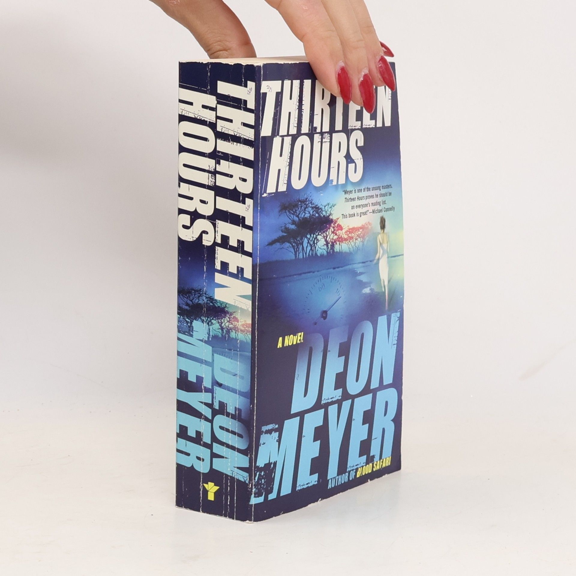 Deon Meyer Thirteen Hours