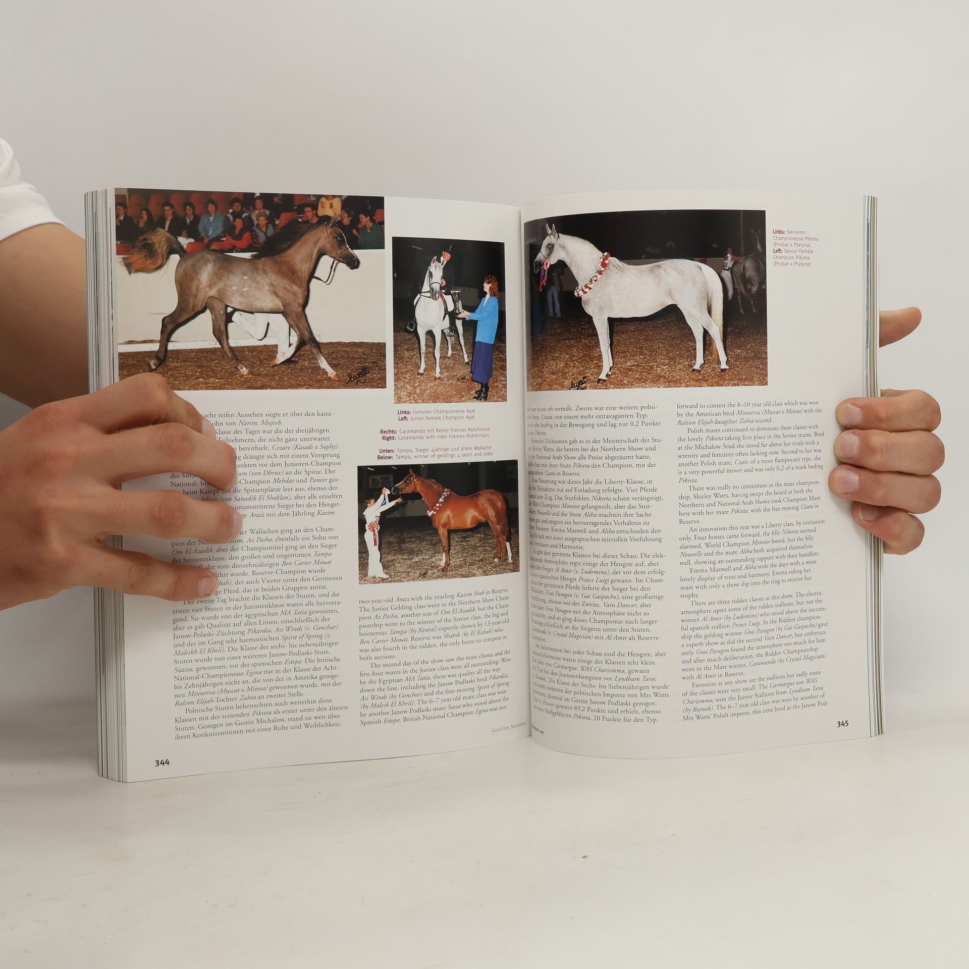 Rik Van Lent Sr. Golden Arabians