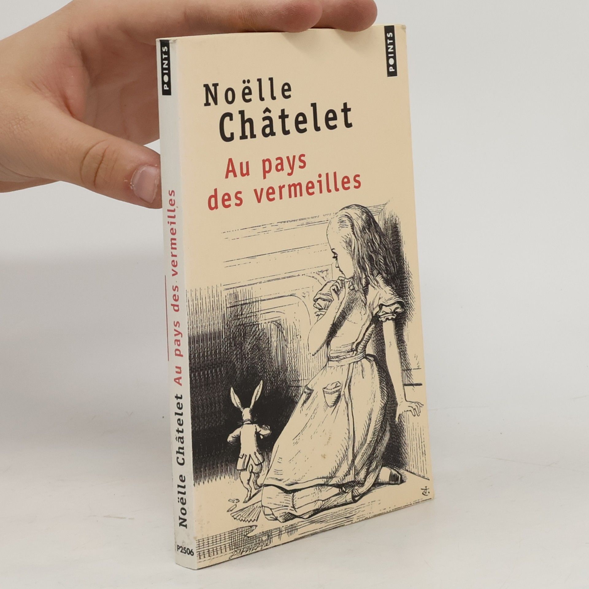 Noëlle Châtelet Au pays des vermeilles