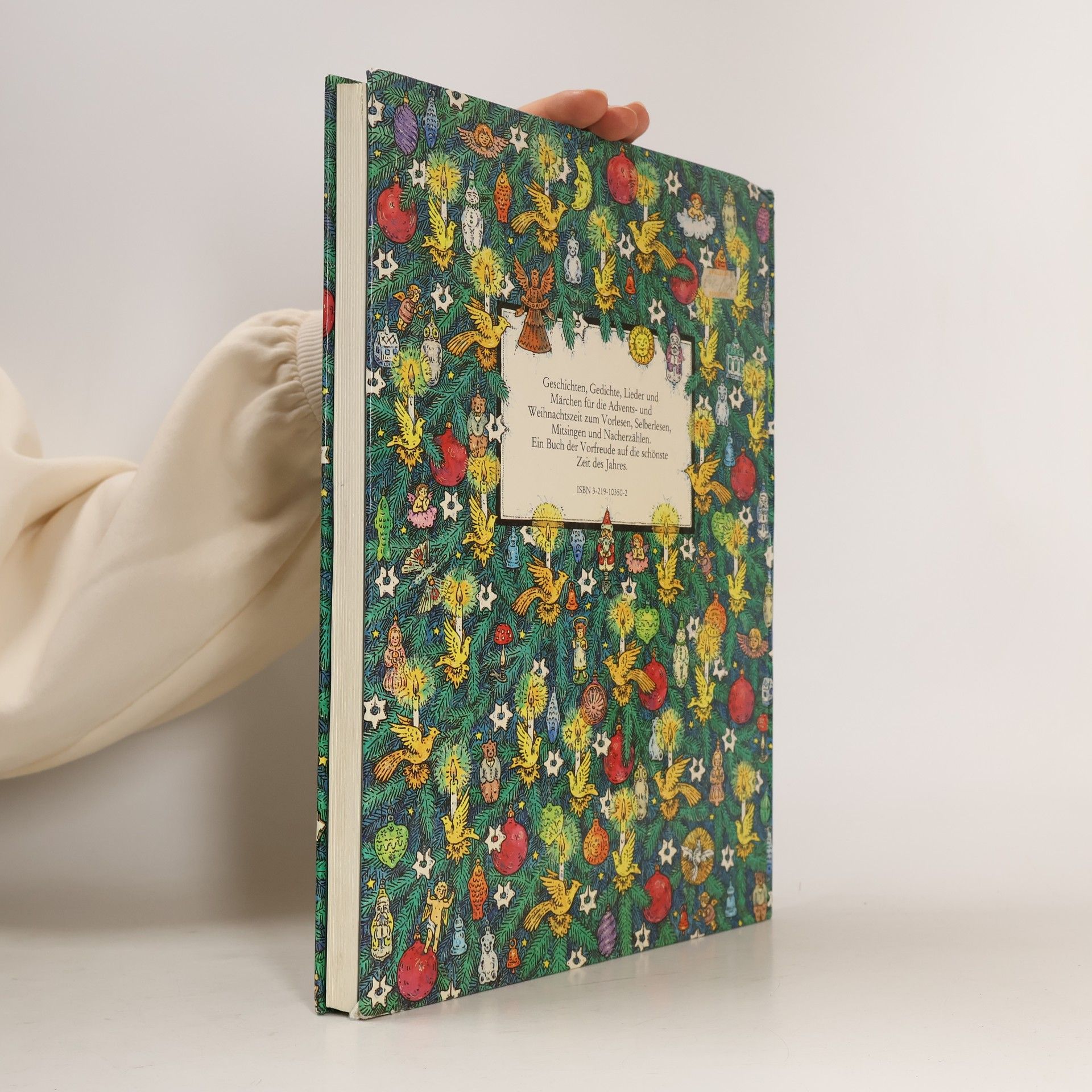 Marion Pongracz Das grosse Weihnachtsbuch für Kinder