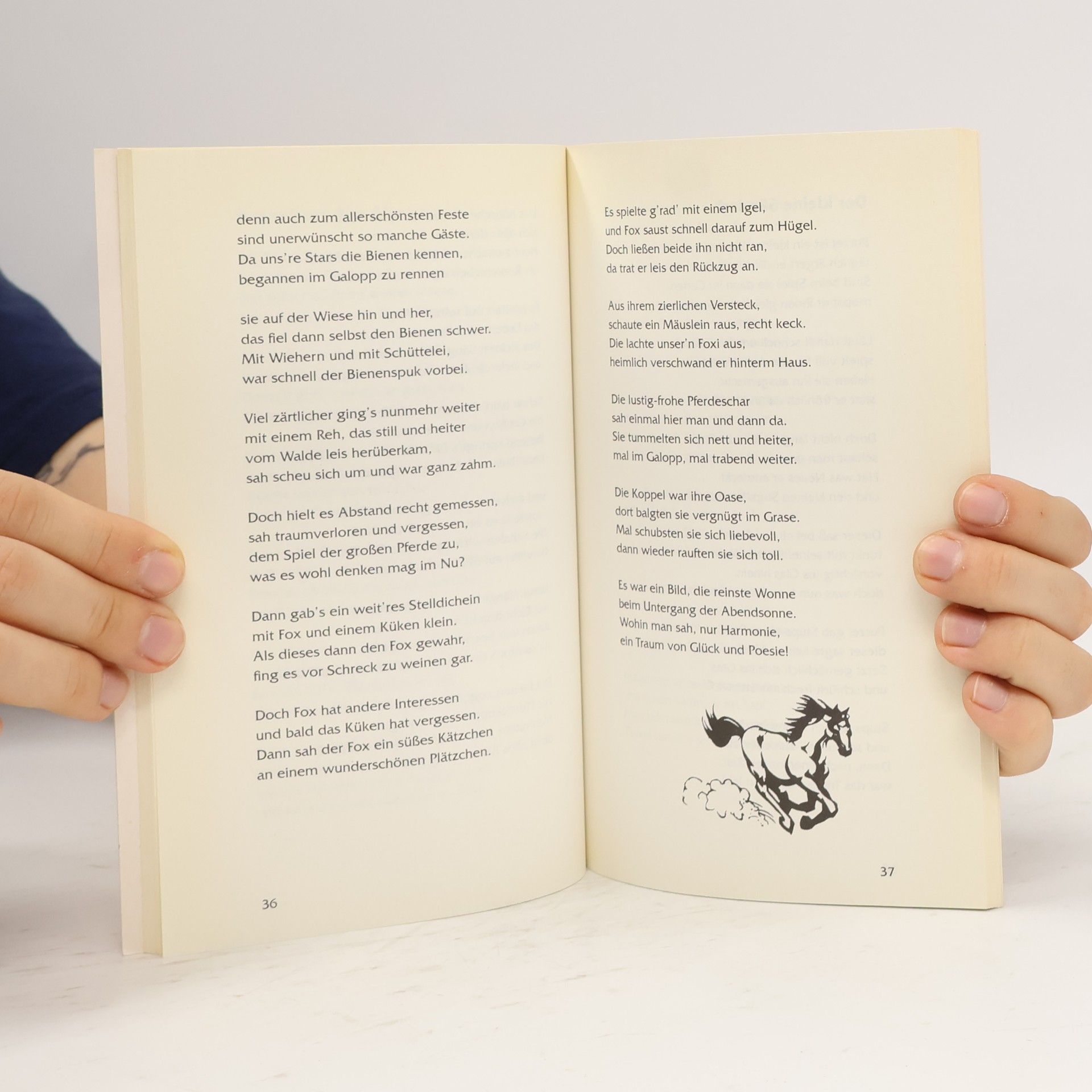 Edith Kühlburg Mein kleines Reich der Phantasie. Gereimte Geschichten für Kinder
