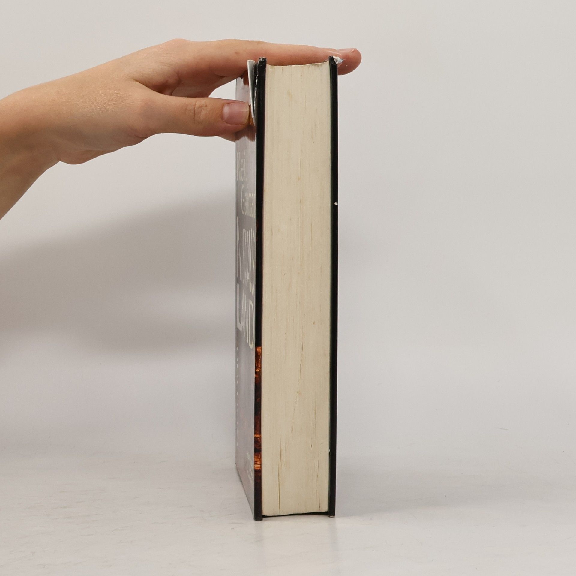 Neil Gaiman Niemalsland