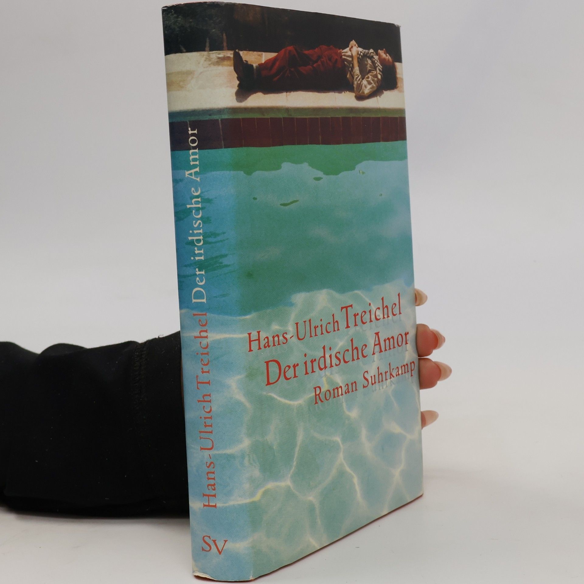 Hans-Ulrich Treichel Der irdische Amor