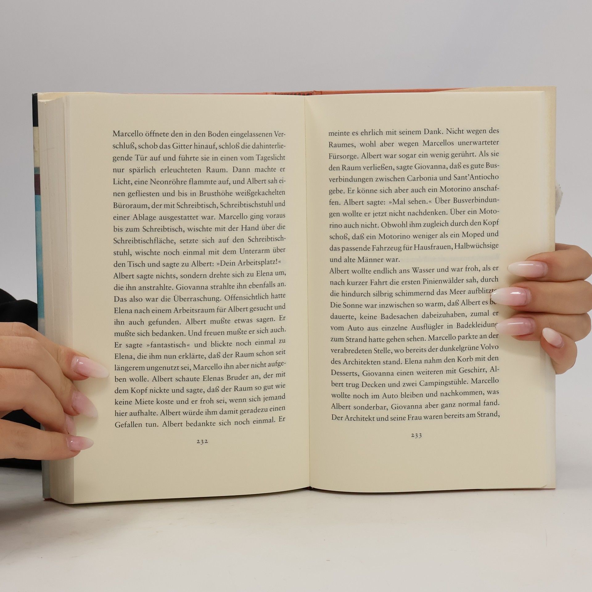 Hans-Ulrich Treichel Der irdische Amor