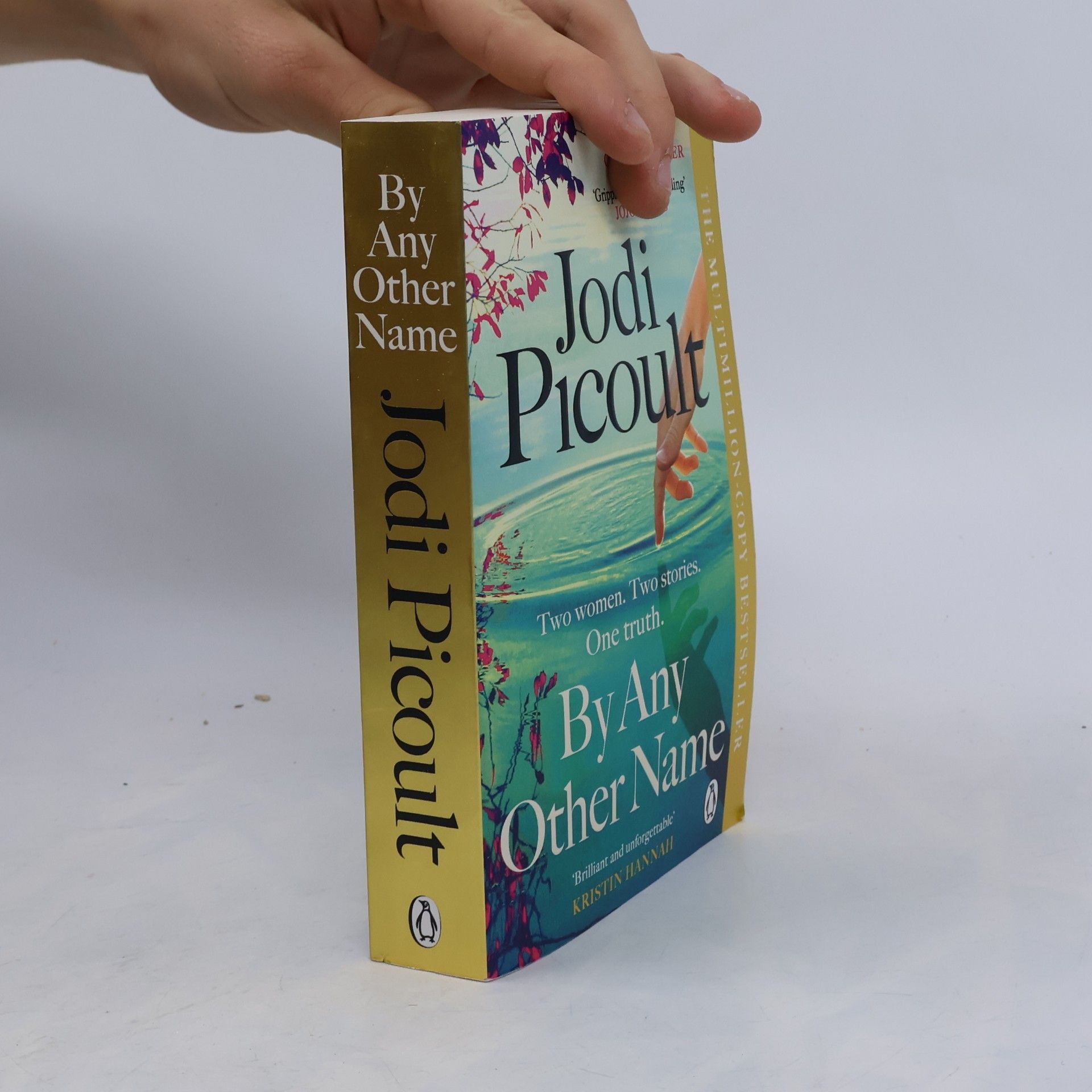 Jodi Picoult By Any Other Name