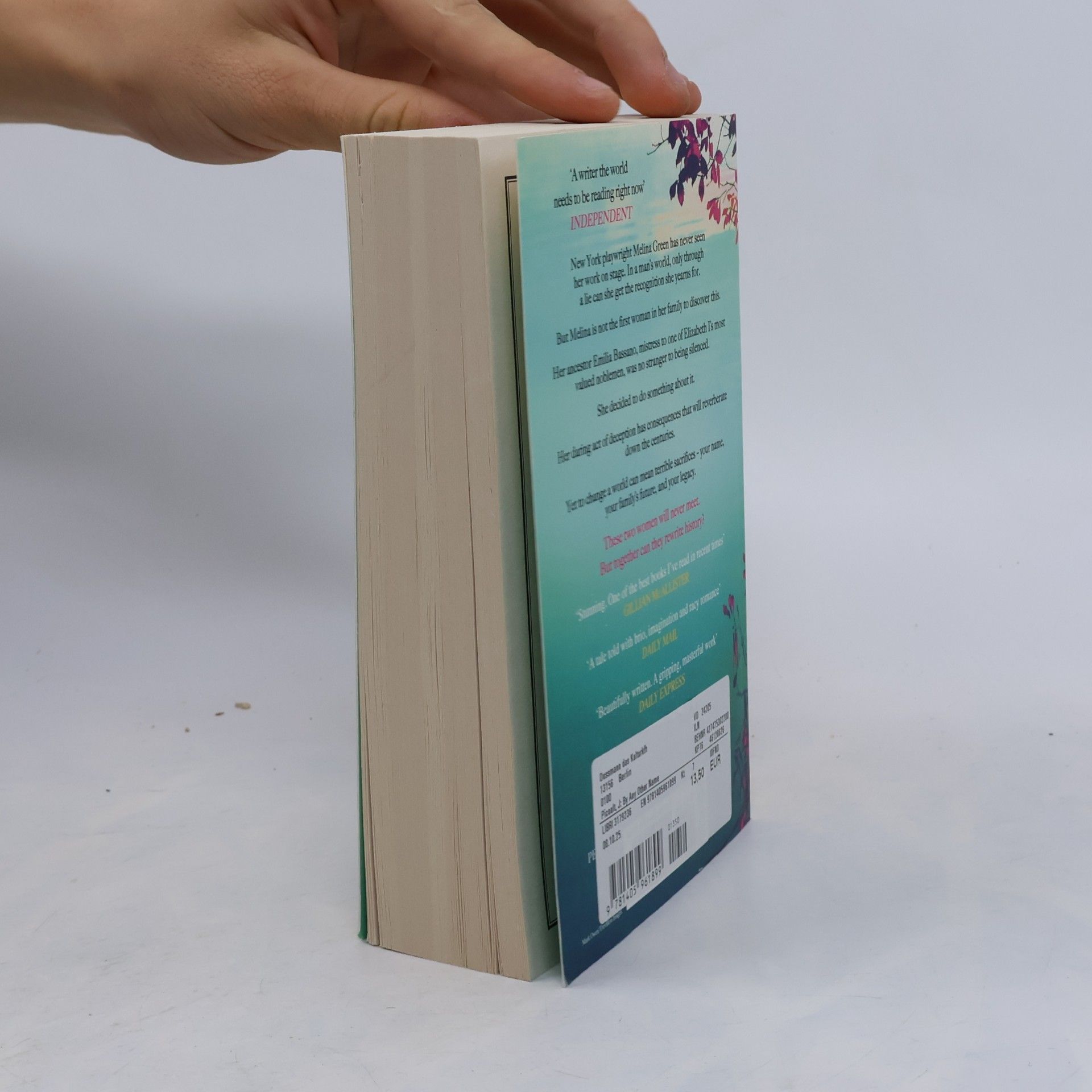 Jodi Picoult By Any Other Name