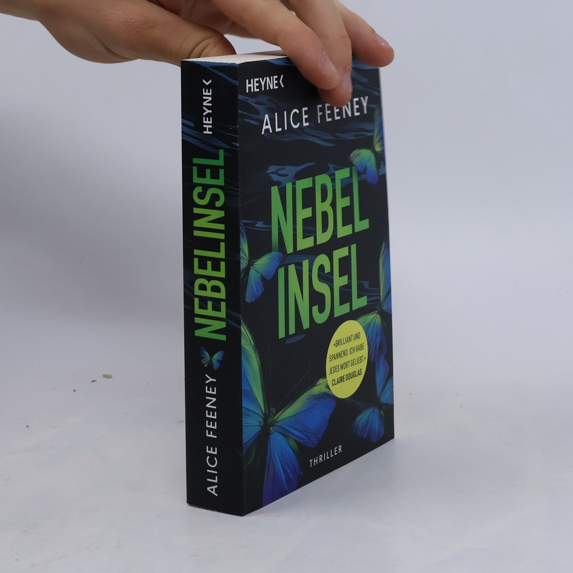 Anke Kreutzer Nebelinsel