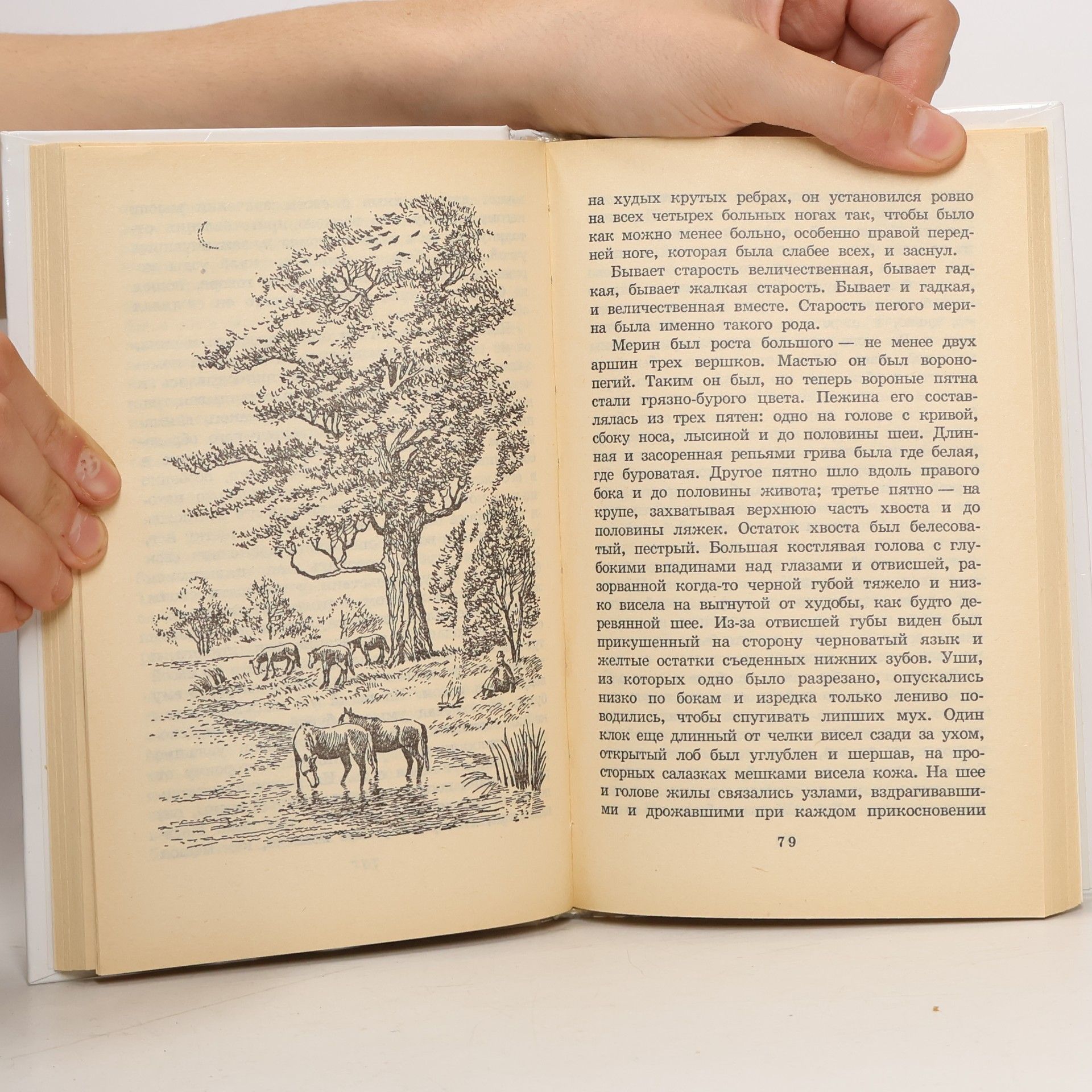 Lew Nikolajewitsch Tolstoi Рассказы о природе для детей. Рассказы, сказки, басни