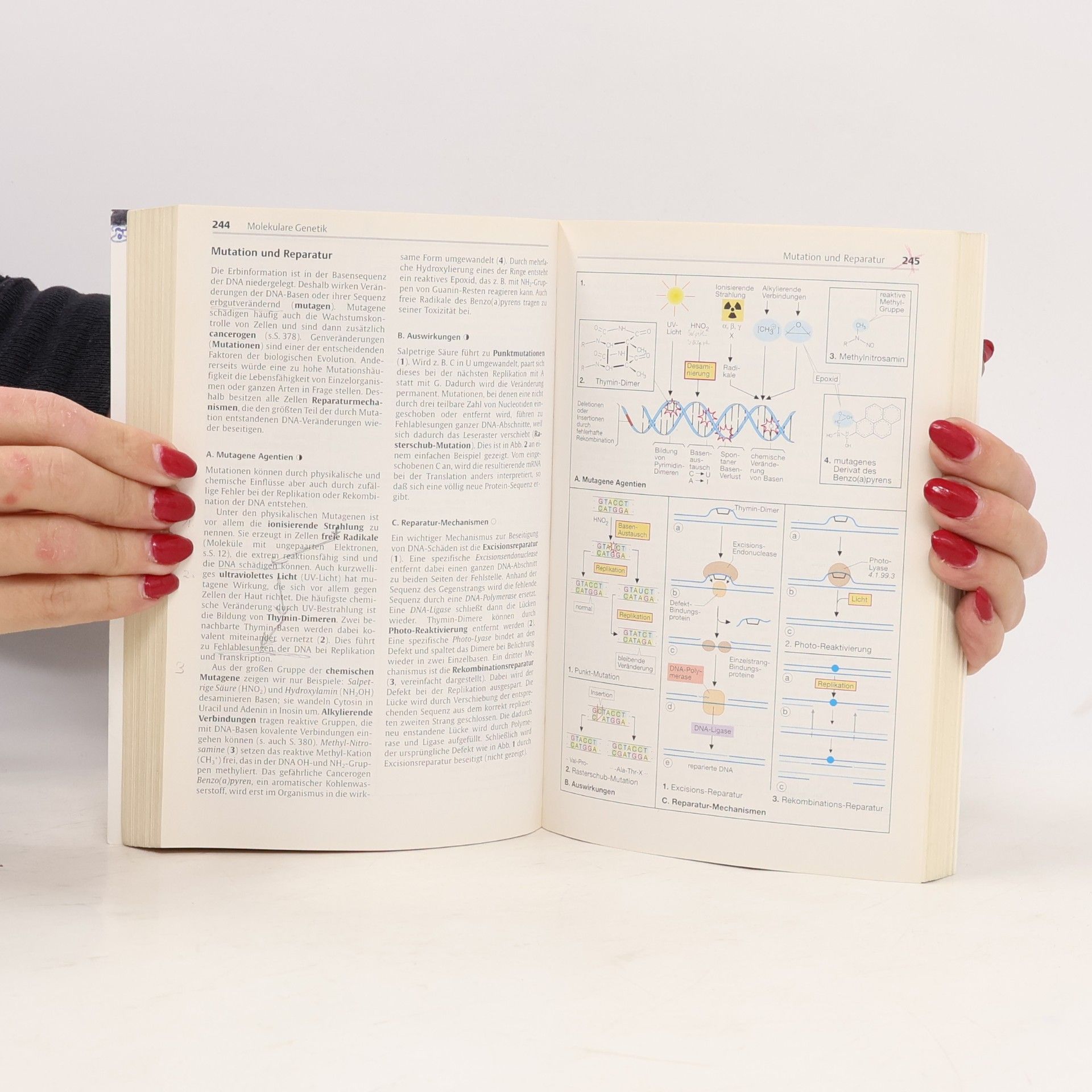 Jan Koolman Taschenatlas der Biochemie