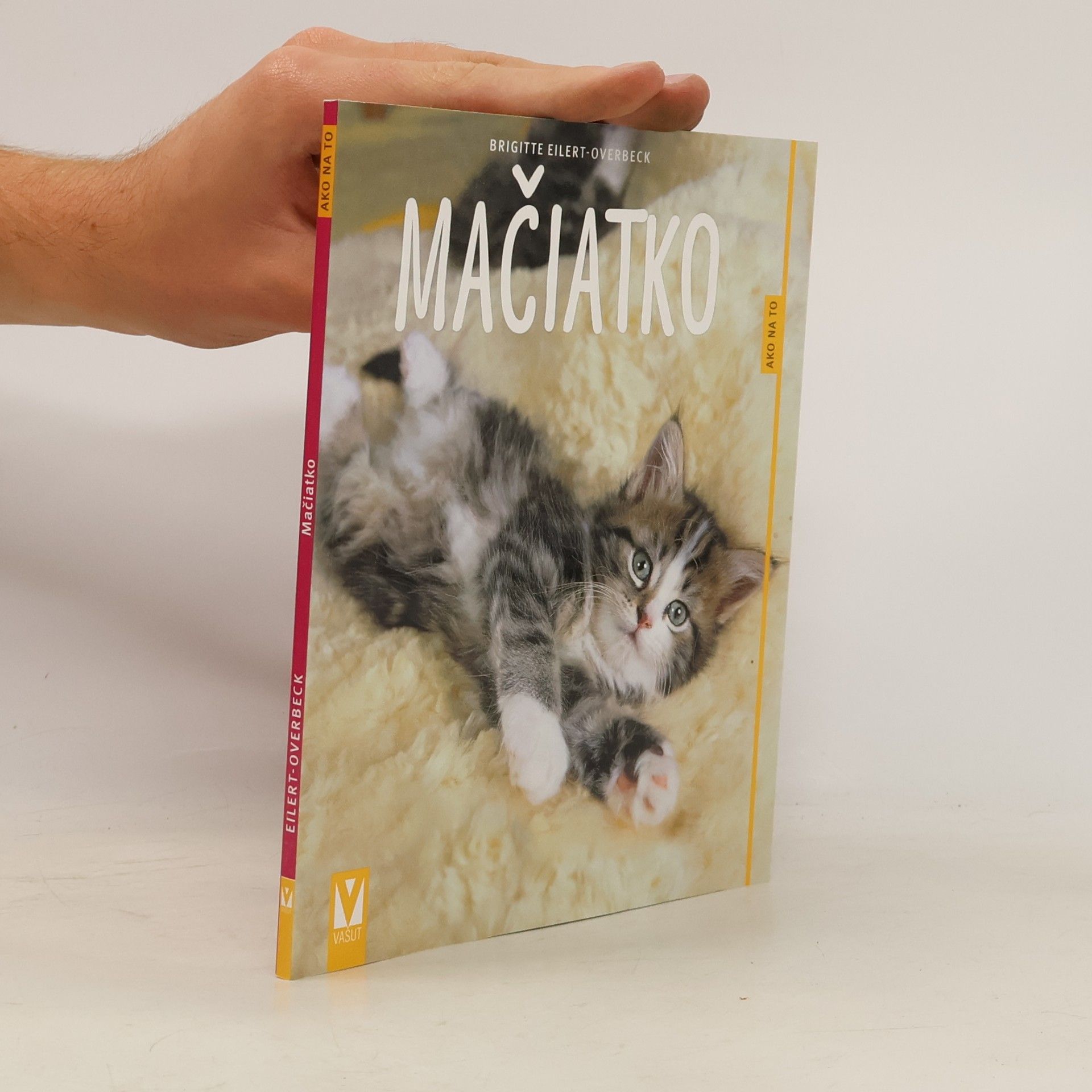 kolektiv Mačiatko