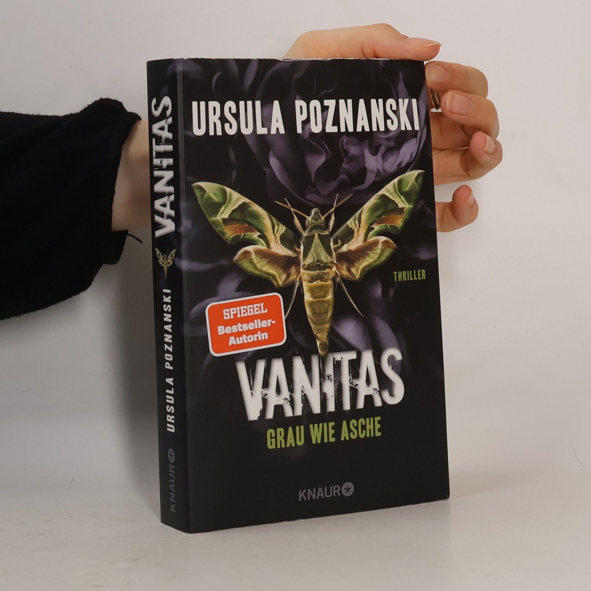 Ursula Poznanski Vanitas. Grau wie Asche