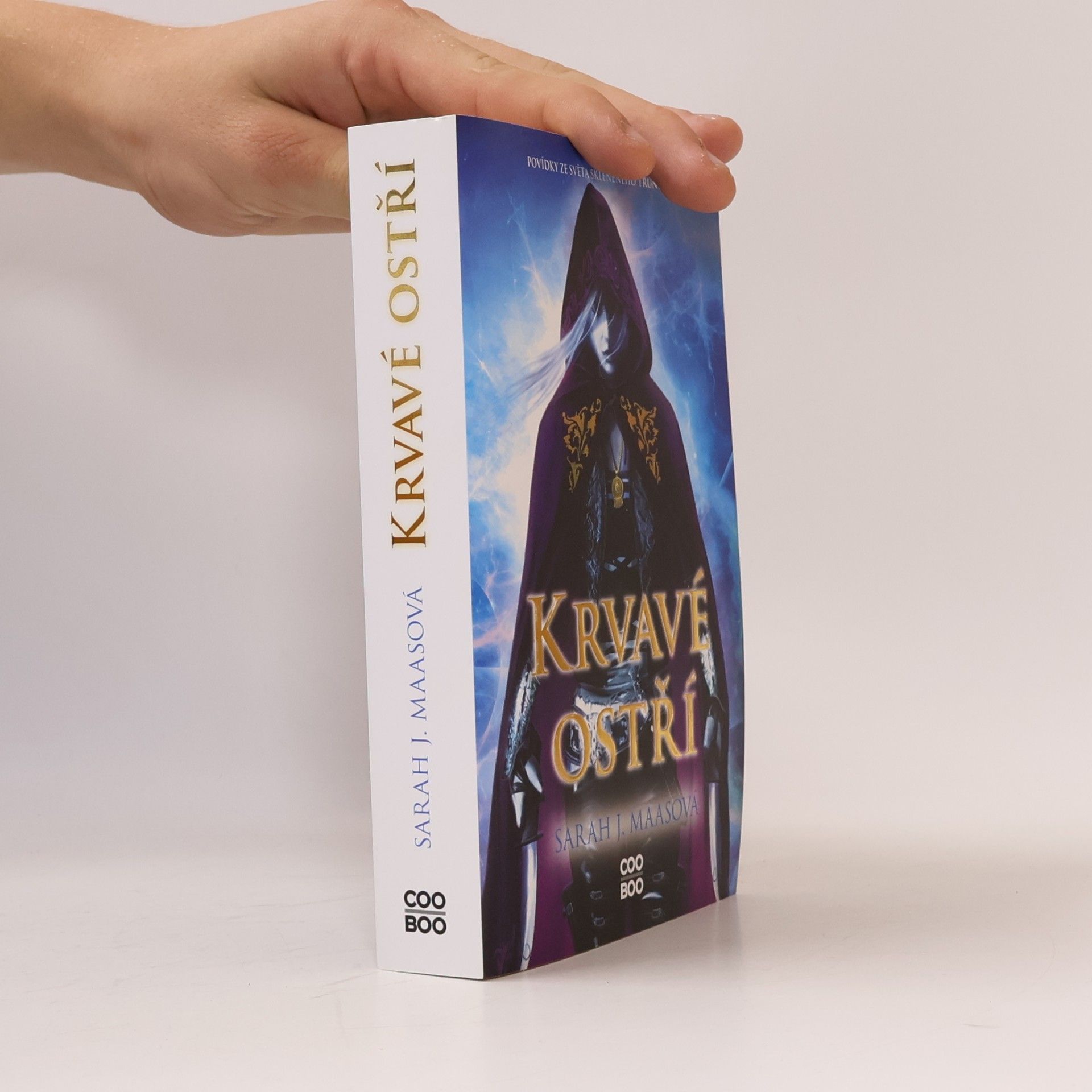 Sarah J. Maas Krvavé ostří