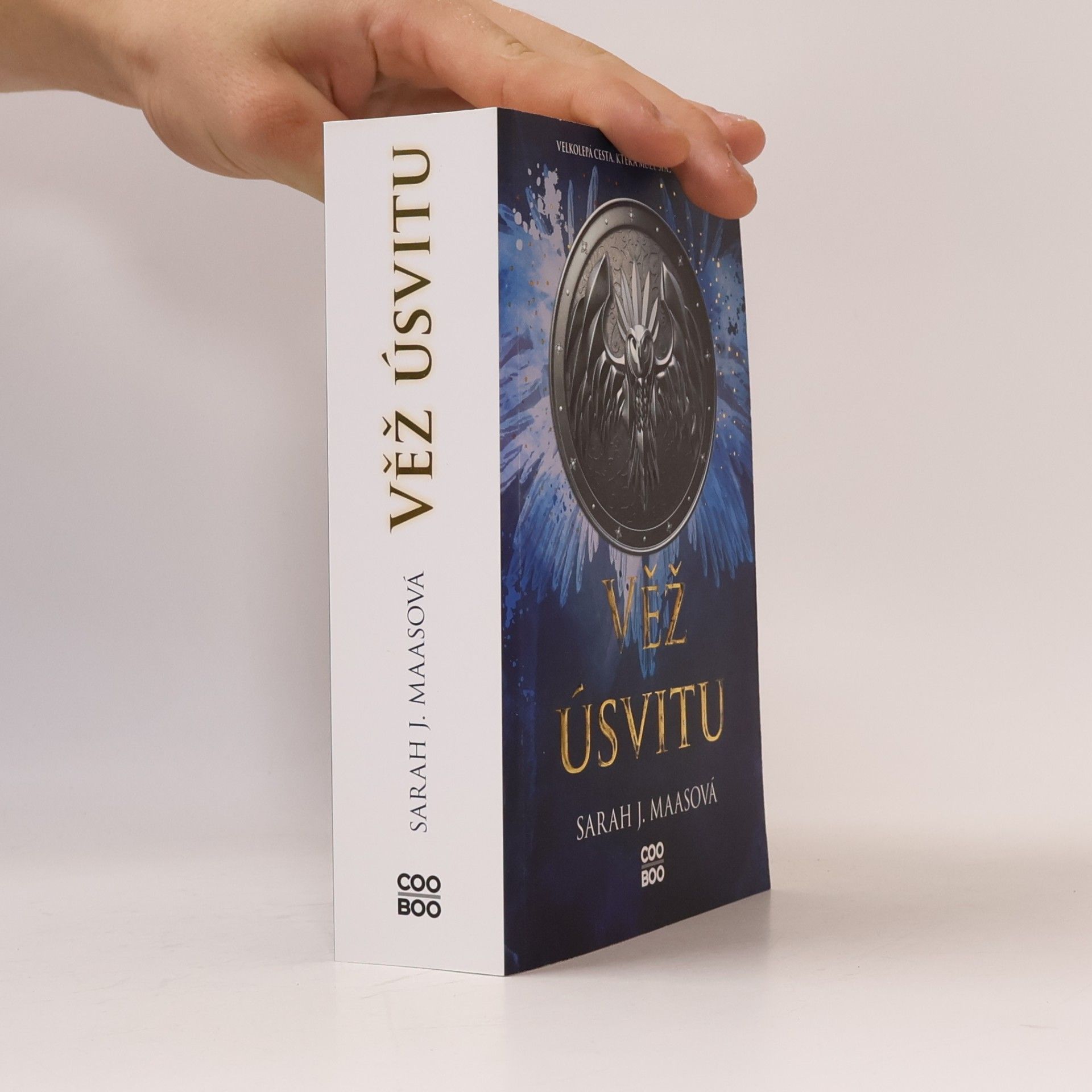 Sarah J. Maas Věž úsvitu