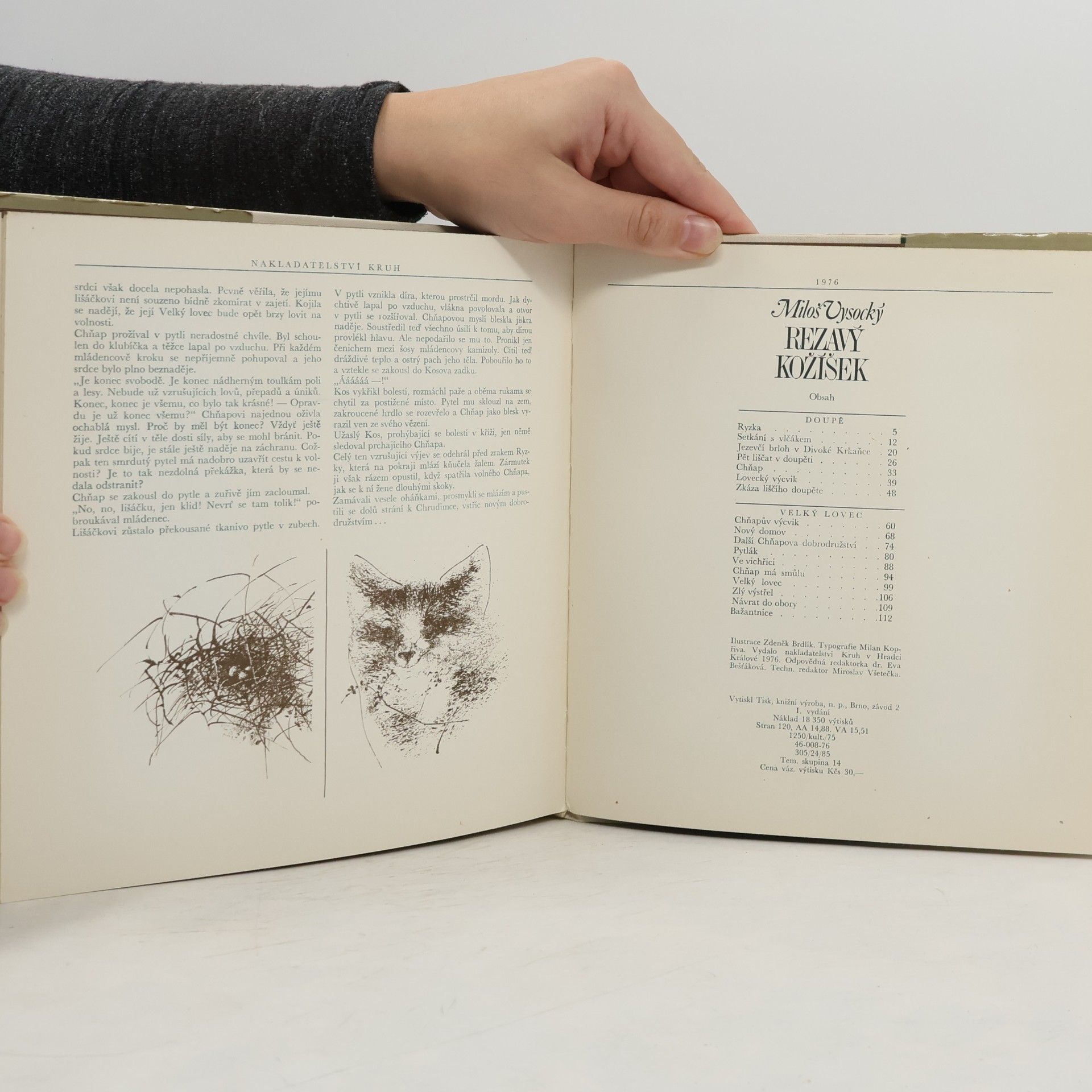 Miloš Vysocký Rezavý kožíšek