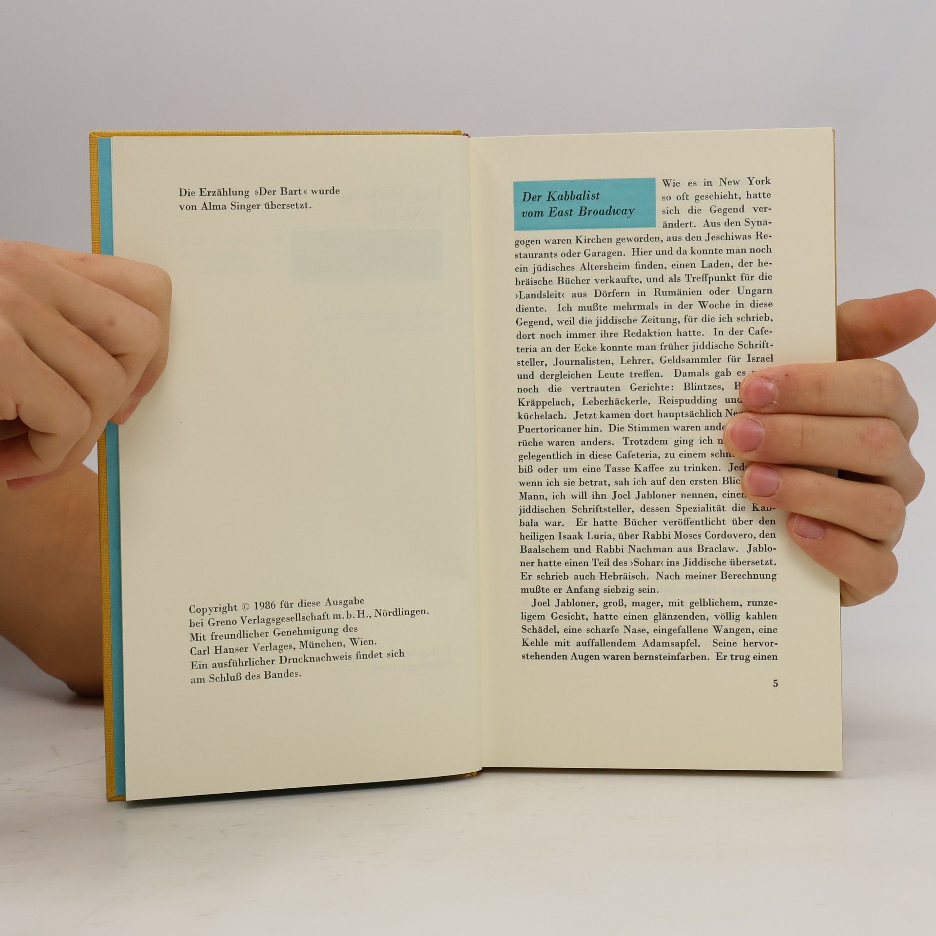 Isaac Bashevis Singer Wahnsinnsgeschichten