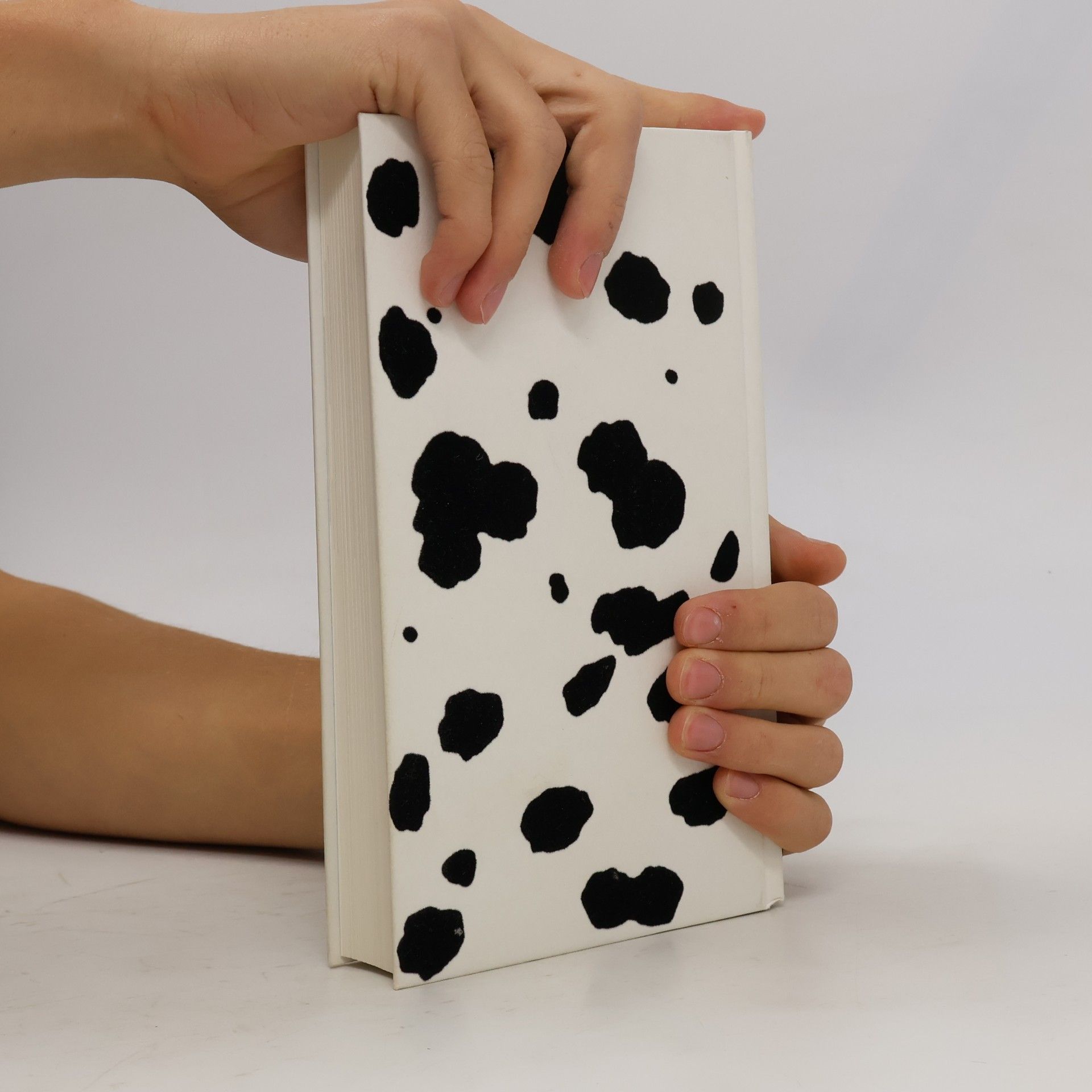 Marko Martin Die Andere Bibliothek: Schlafende Hunde