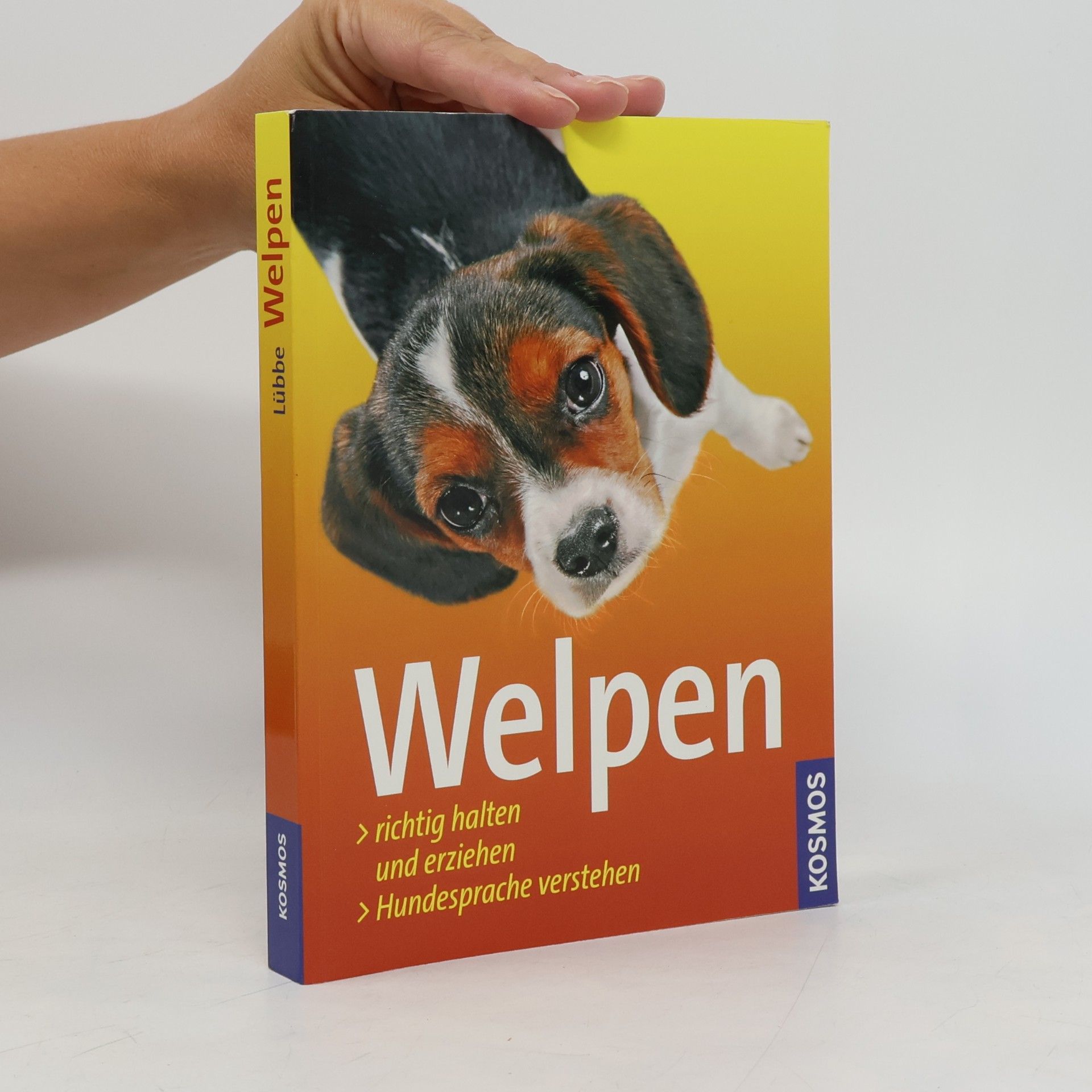 kolektiv Welpen
