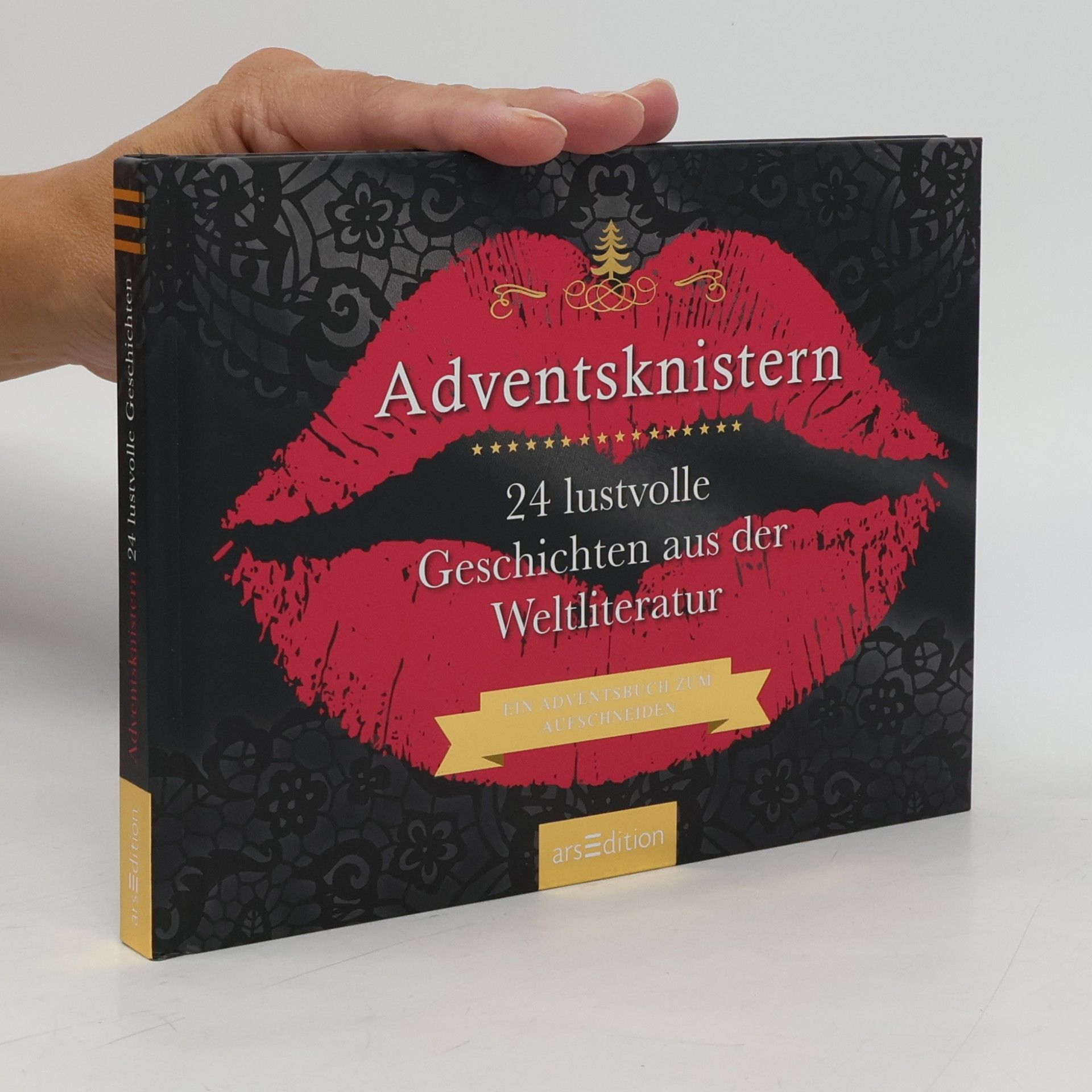 Kolektiv autorů Adventsknistern