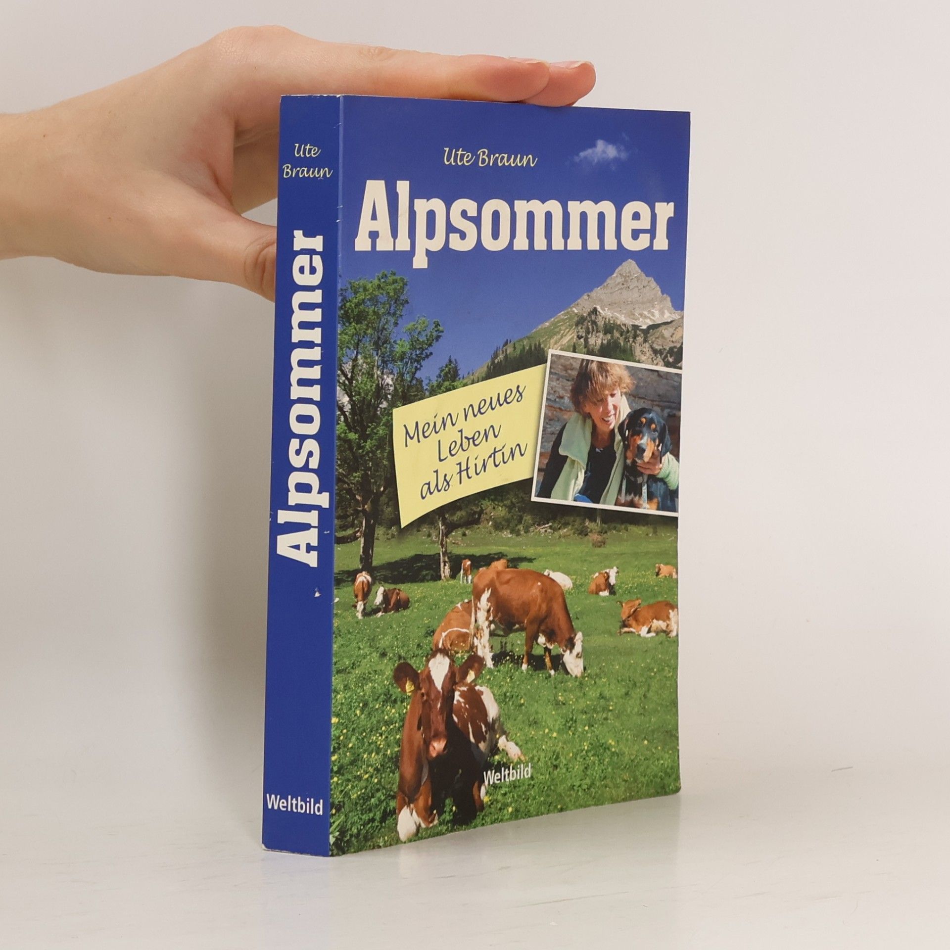 Ute Braun Alpsommer