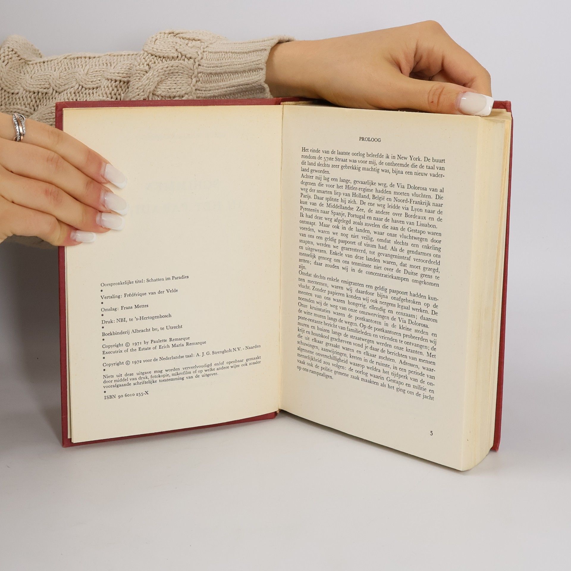 Erich Maria Remarque Schimmen in het Paradijs